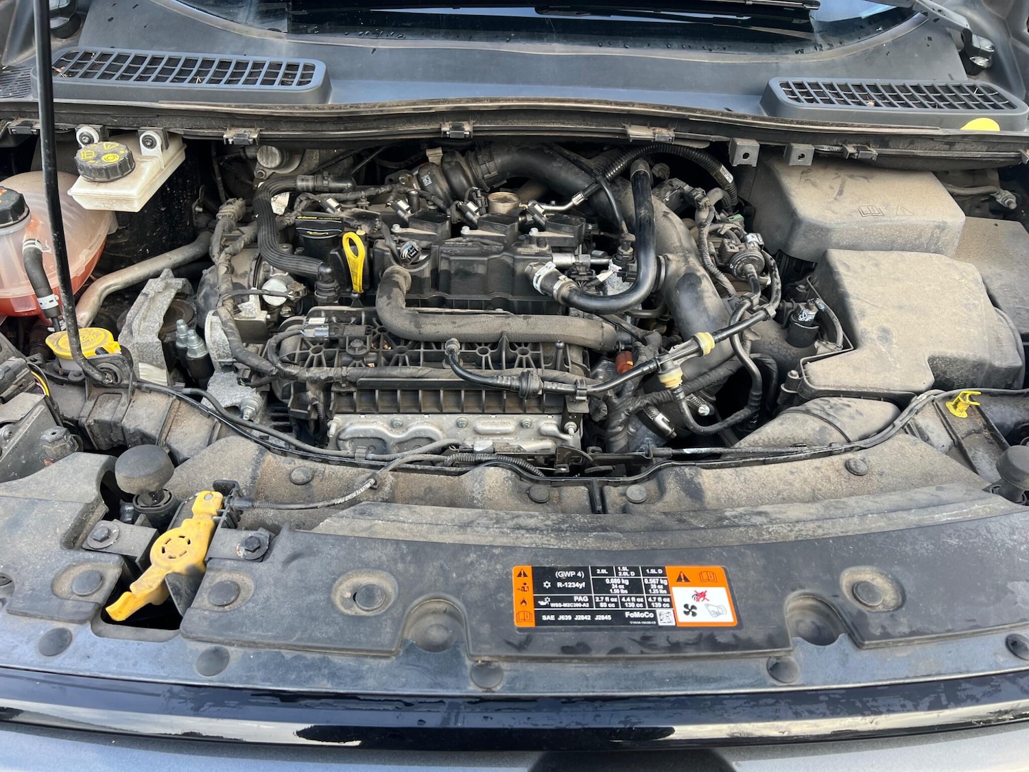 Used Ford Kuga 2019 for sale - 77254911: Photo 11