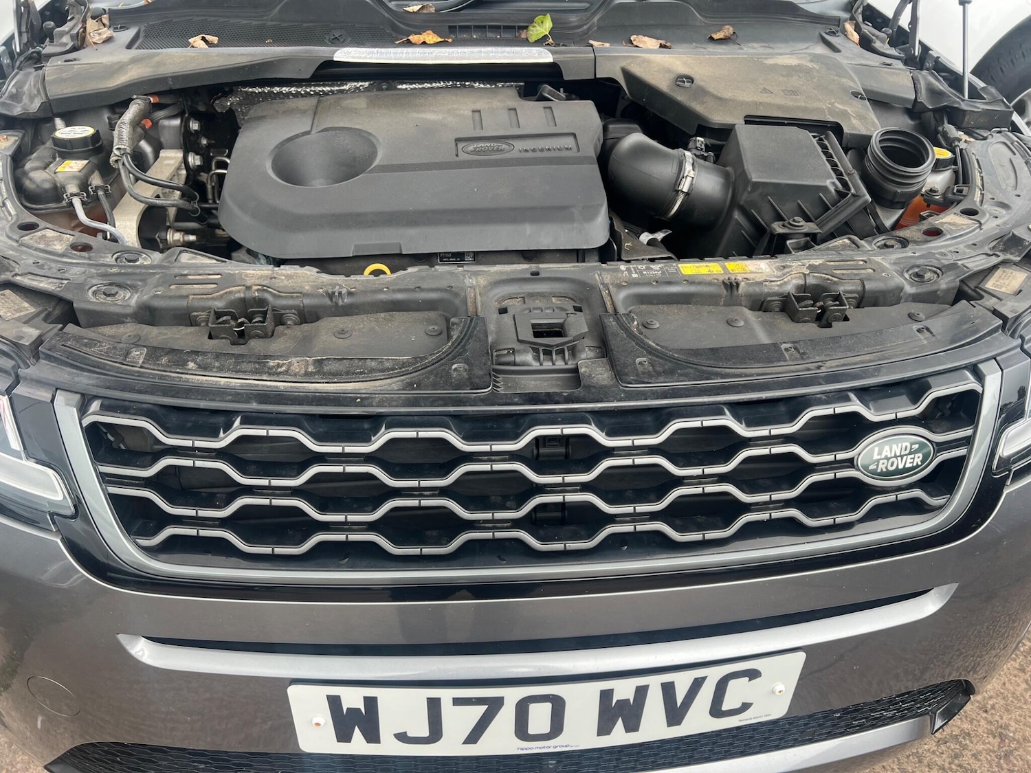 Used Land Rover Range Rover Evoque 2020 for sale - 76000656: Photo 16