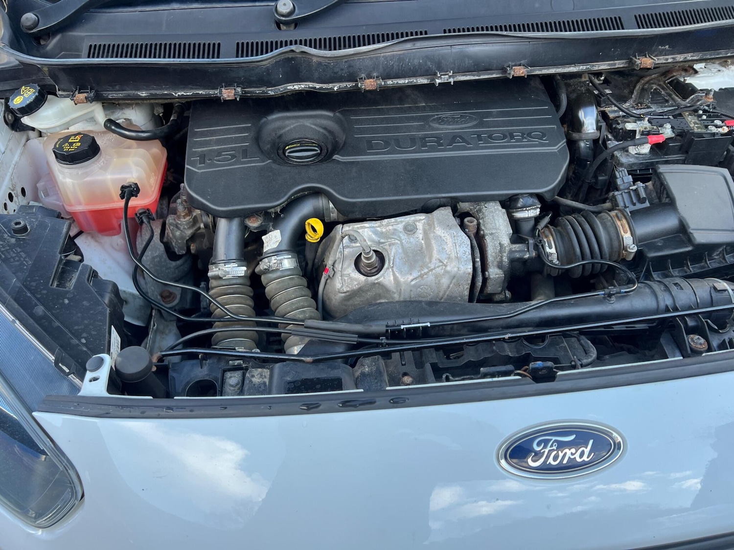 Used Ford Transit Courier 2019 for sale - 77663477: Photo 11