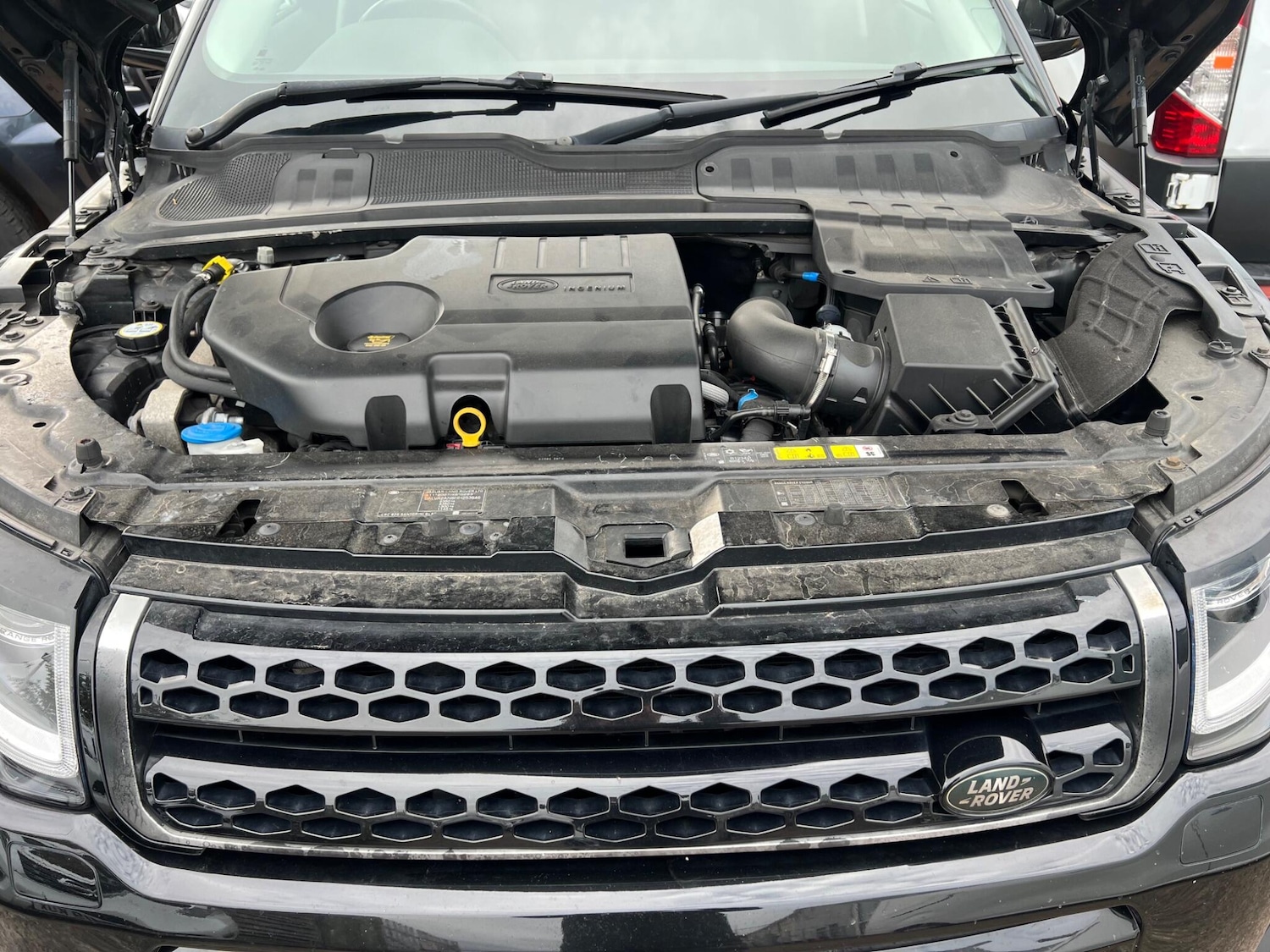 Used Land Rover Range Rover Evoque 2017 for sale - 76020570: Photo 12