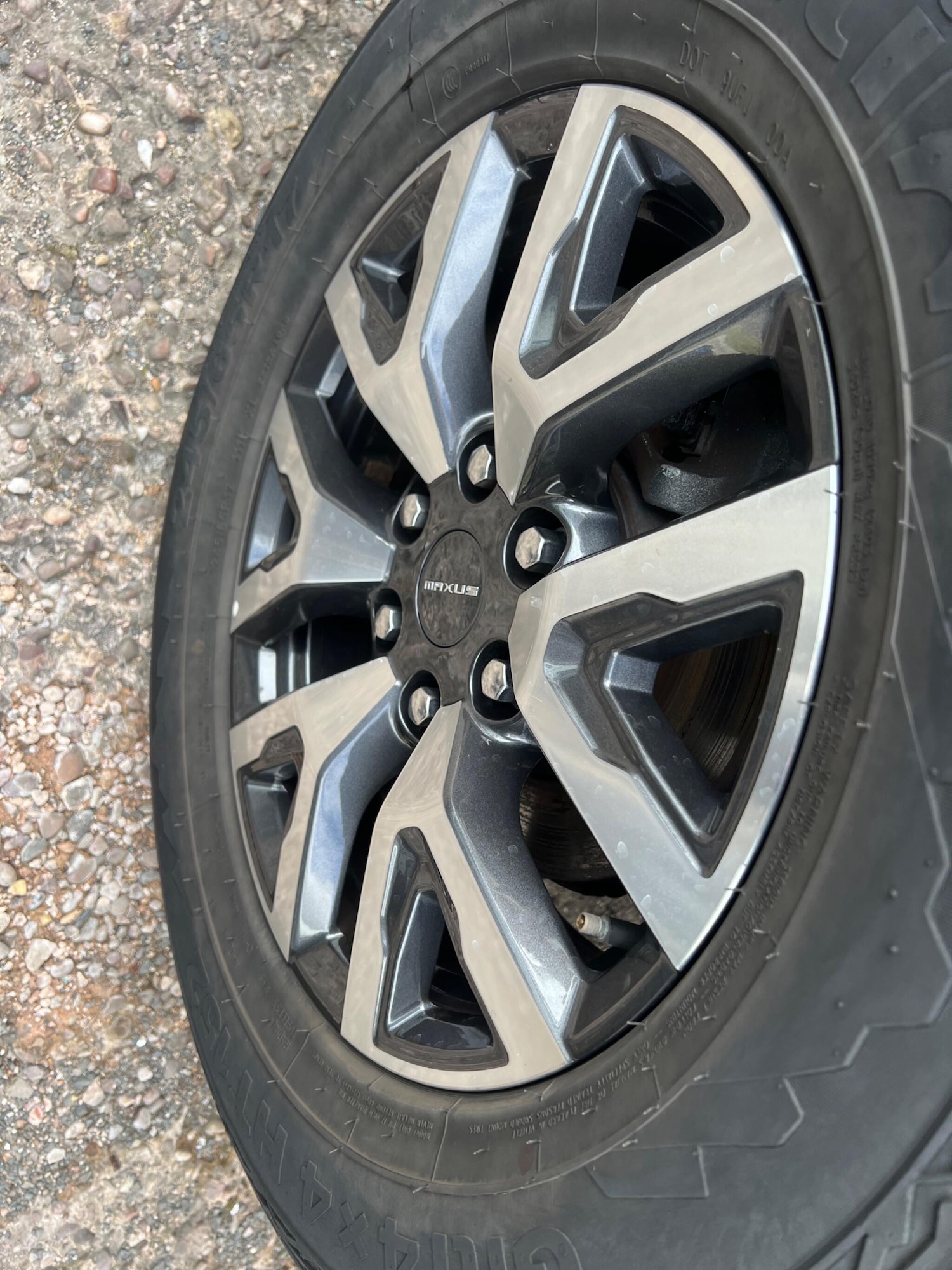 Used Maxus T90EV 2023 for sale - 78034575: Photo 13