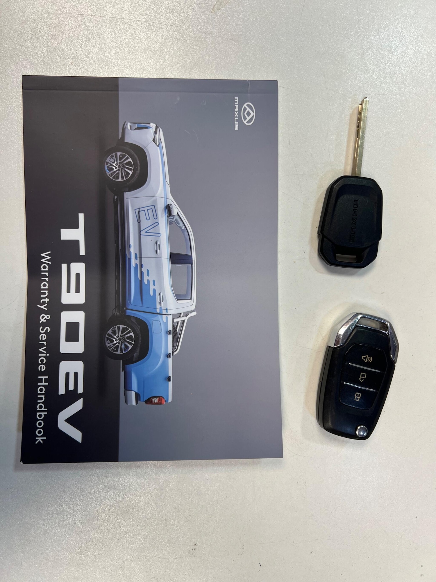 Used Maxus T90EV 2023 for sale - 78034575: Photo 33