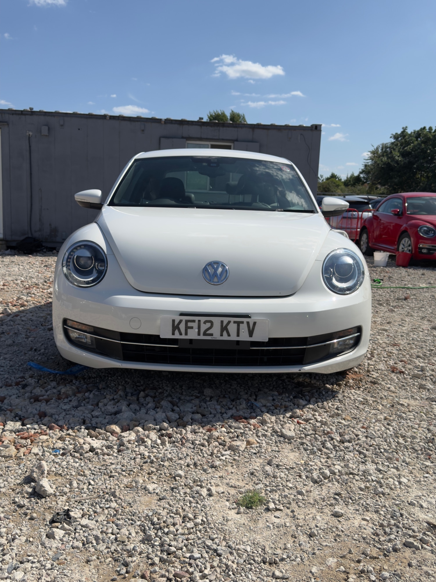 Used Volkswagen Beetle 2012 for sale - 76195921: Photo 11