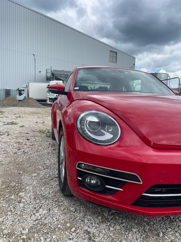 Used Volkswagen Beetle 2025 for sale - 75115318: Photo 2