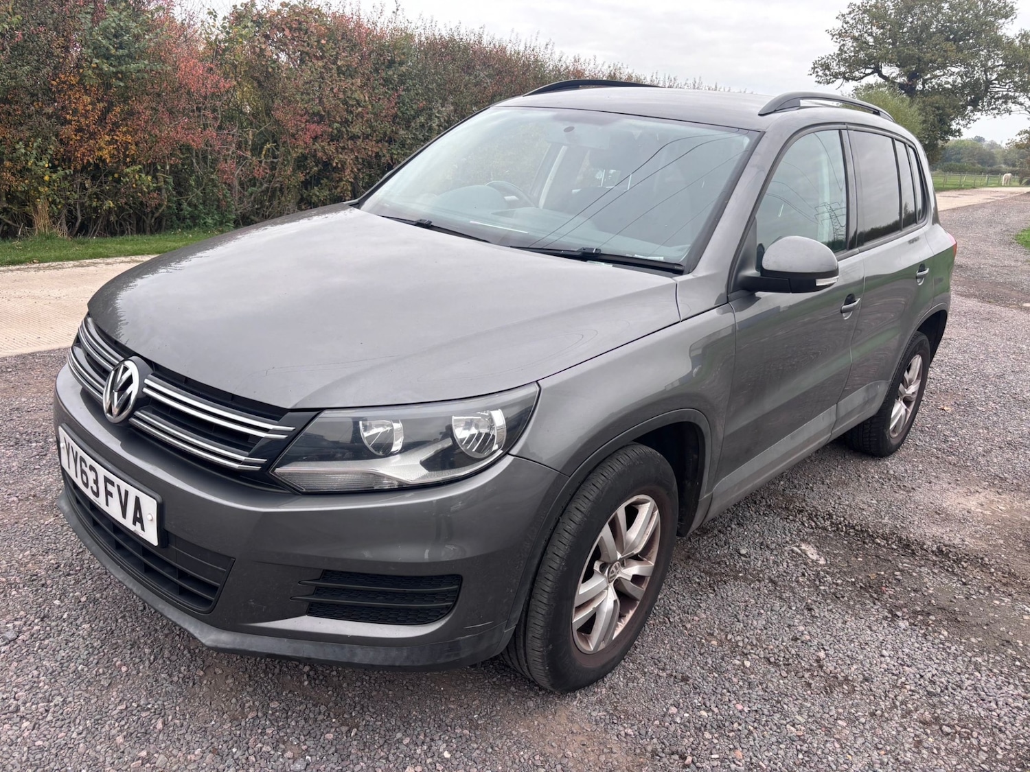 Used Volkswagen Tiguan 2013 for sale - 76299136: Photo 1