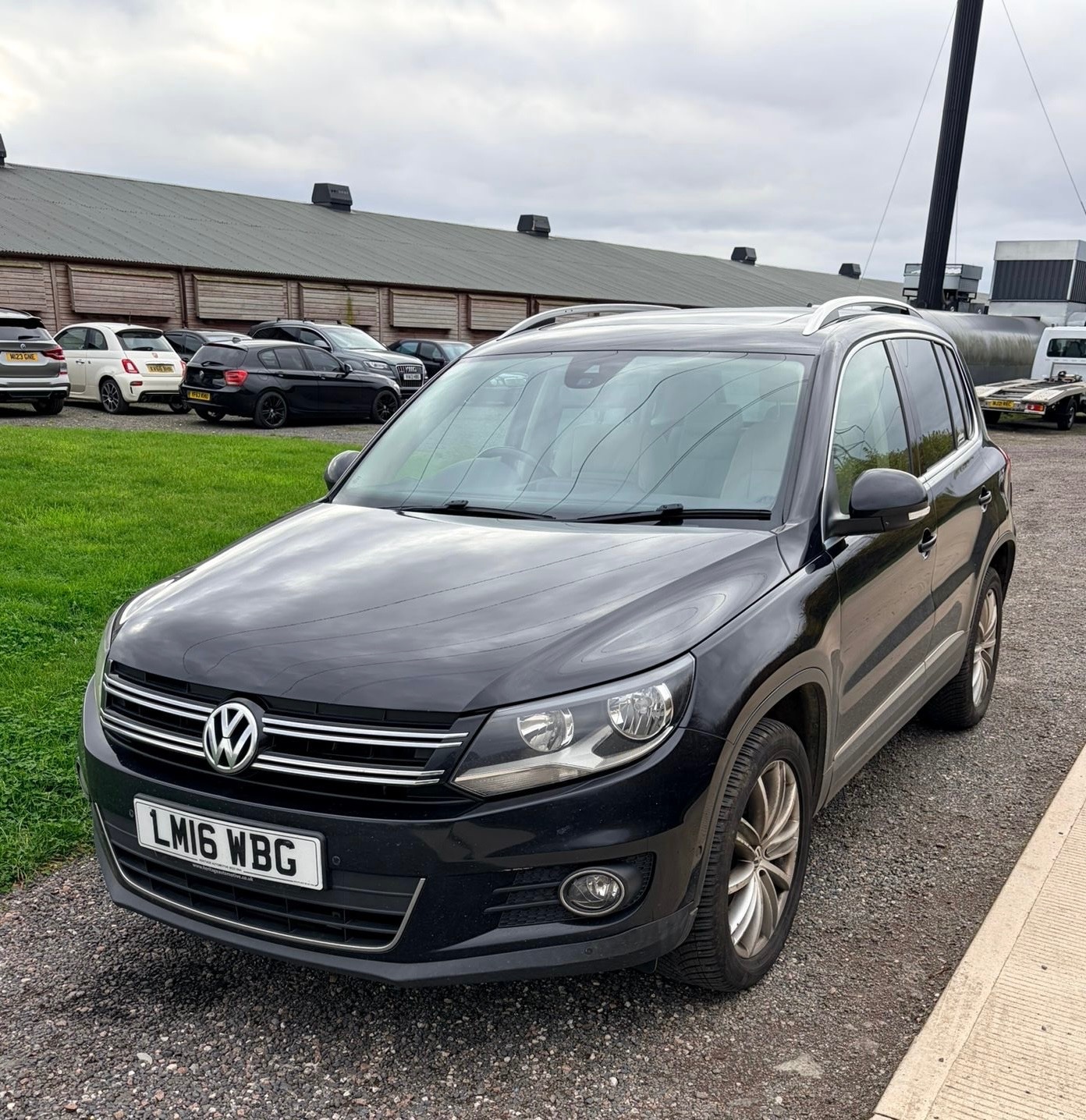 Used Volkswagen Tiguan 2016 for sale - 76466577: Photo 1