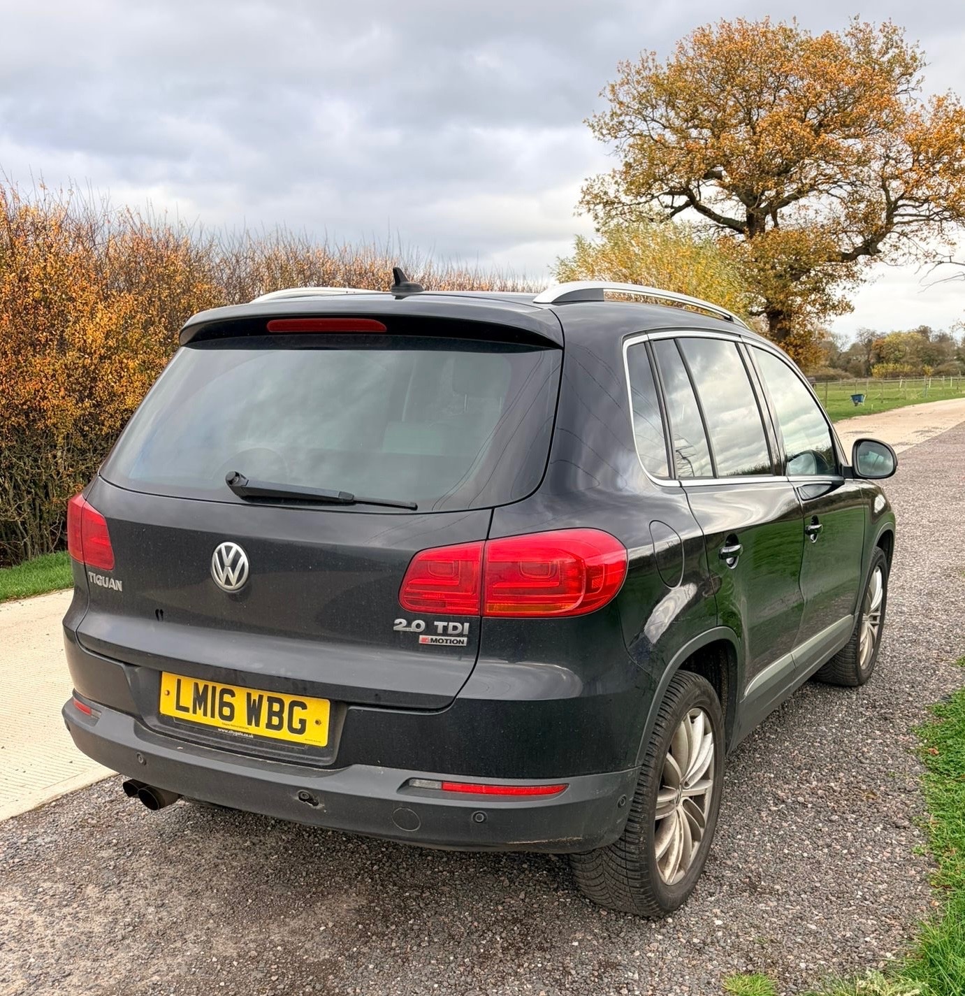 Used Volkswagen Tiguan 2016 for sale - 76466577: Photo 8