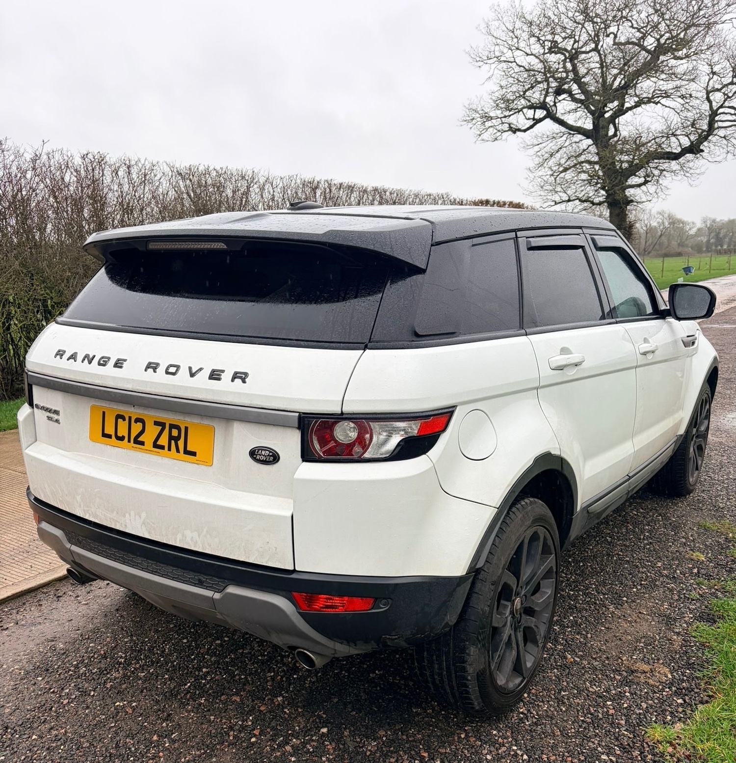 Used Land Rover Range Rover Evoque 2012 for sale - 77545070: Photo 8