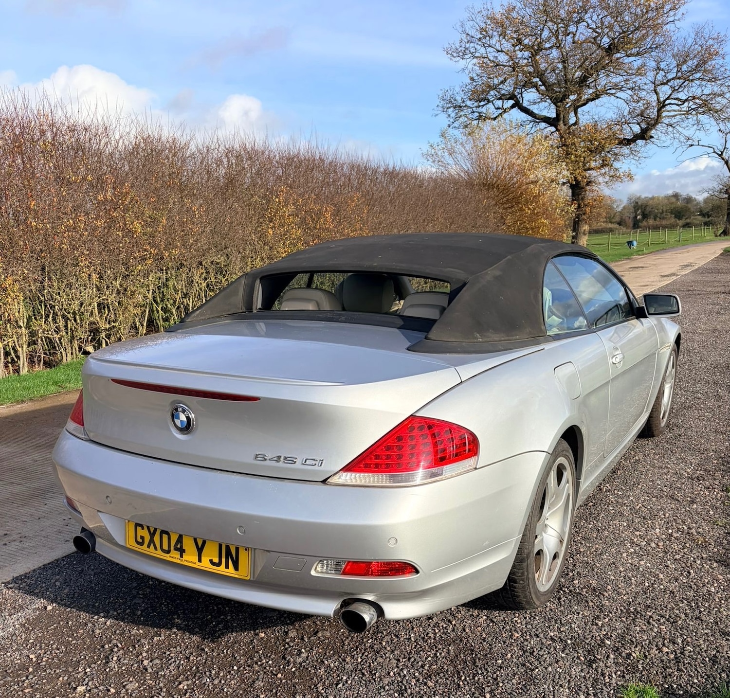 Used BMW 6 Series 2004 for sale - 76577039: Photo 8