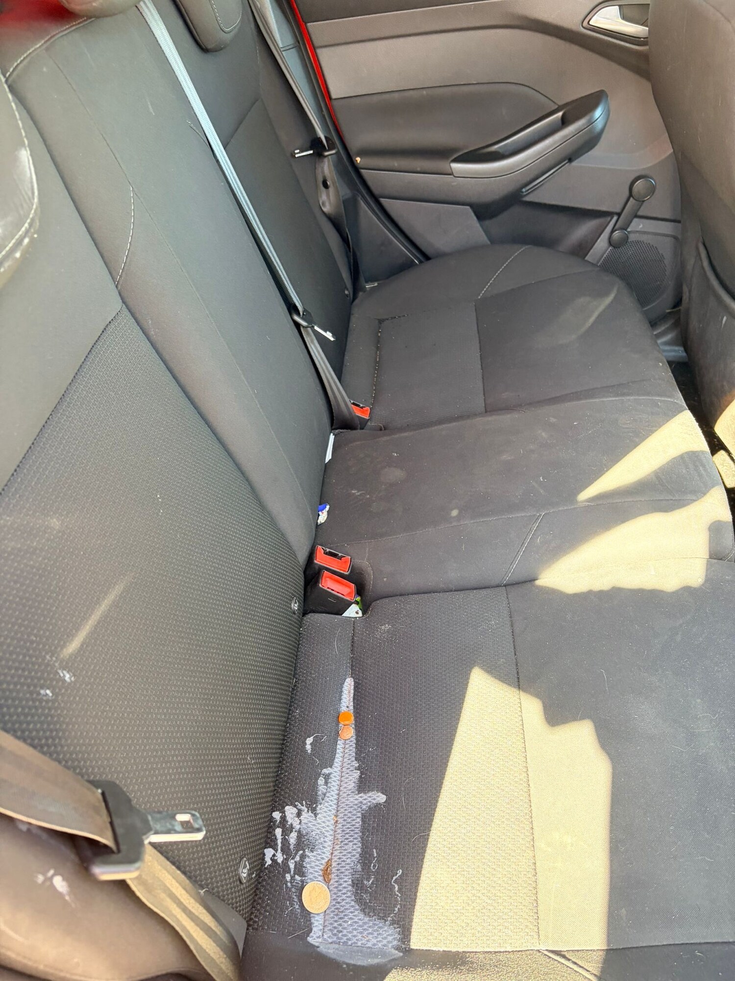 Used Ford Focus 2015 for sale - 78159798: Photo 11