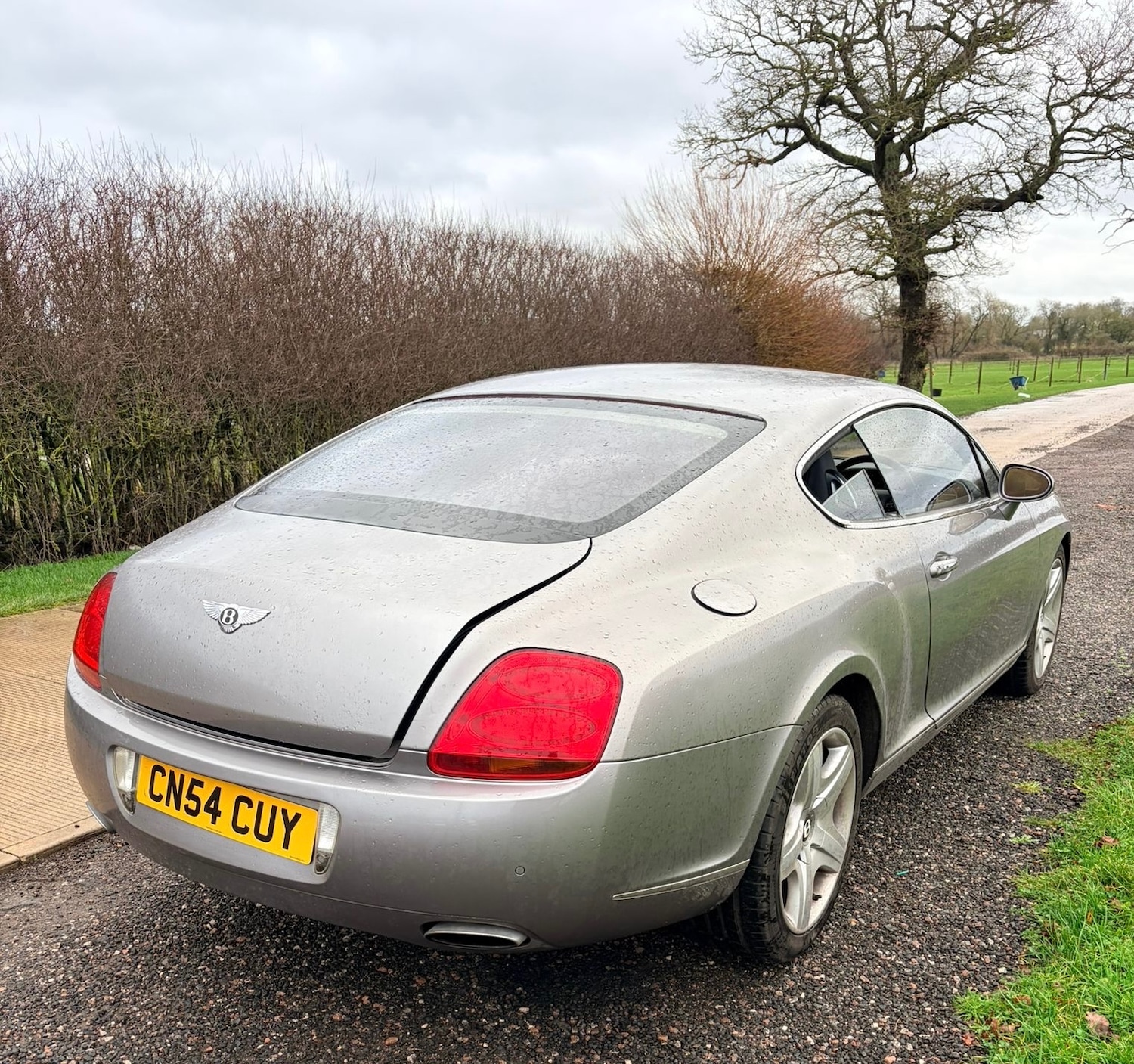 Used Bentley Continental 2004 for sale - 76882062: Photo 7