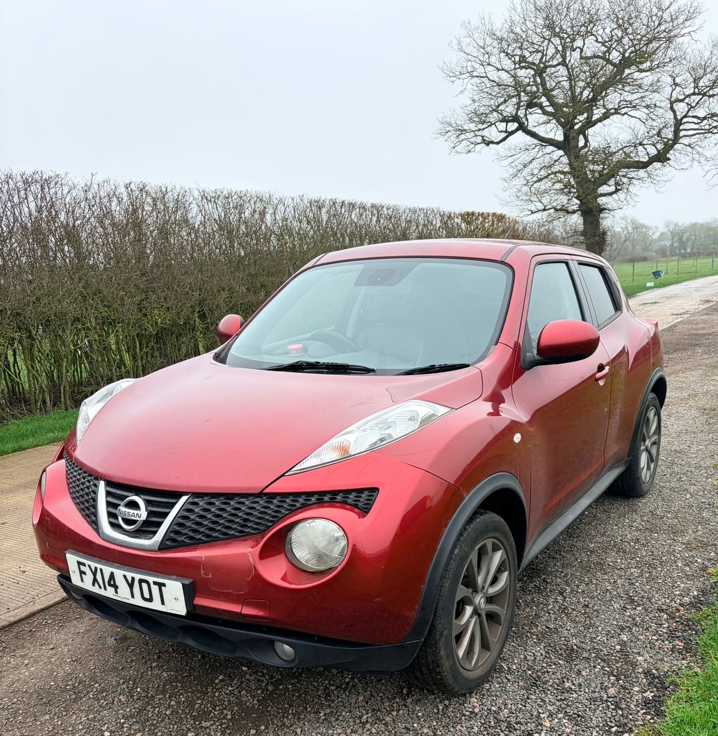Used Nissan Juke 2014 for sale - 77990369: Photo 2