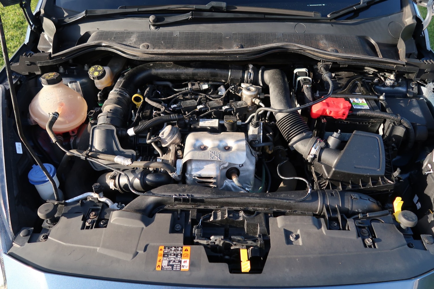 Used Ford Fiesta 2019 for sale - 78045484: Photo 52