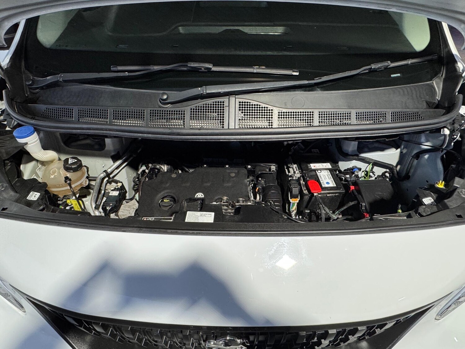 Used Peugeot Expert for sale - 77925238: Photo 30