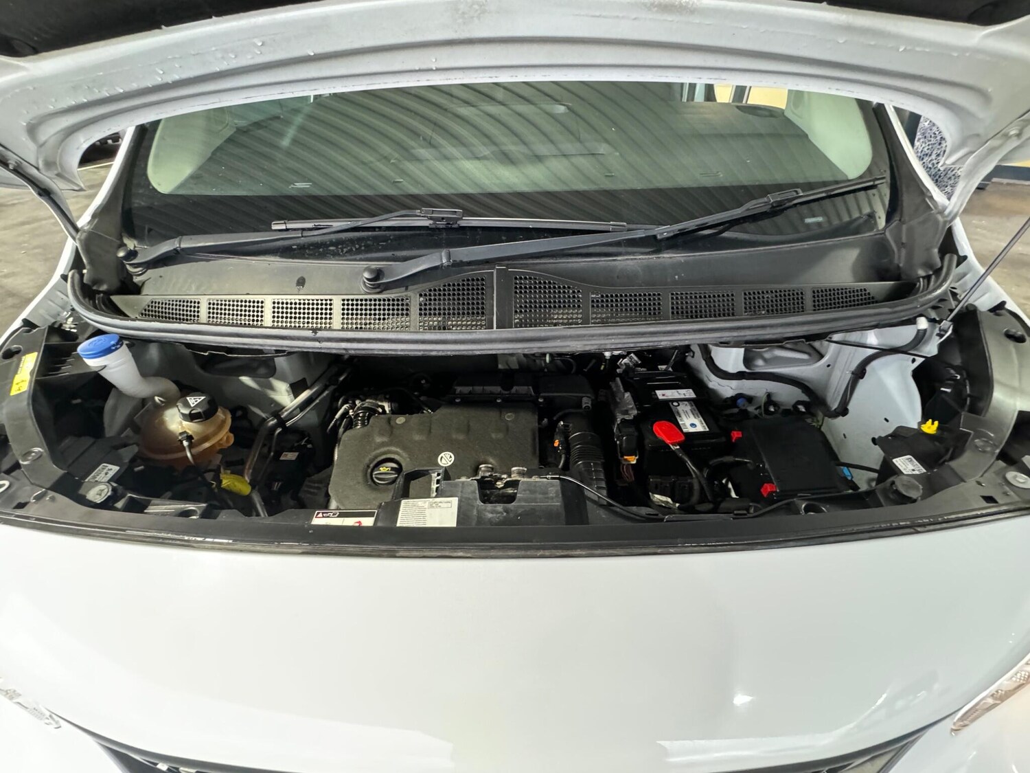 Used Peugeot Expert for sale - 77190687: Photo 33