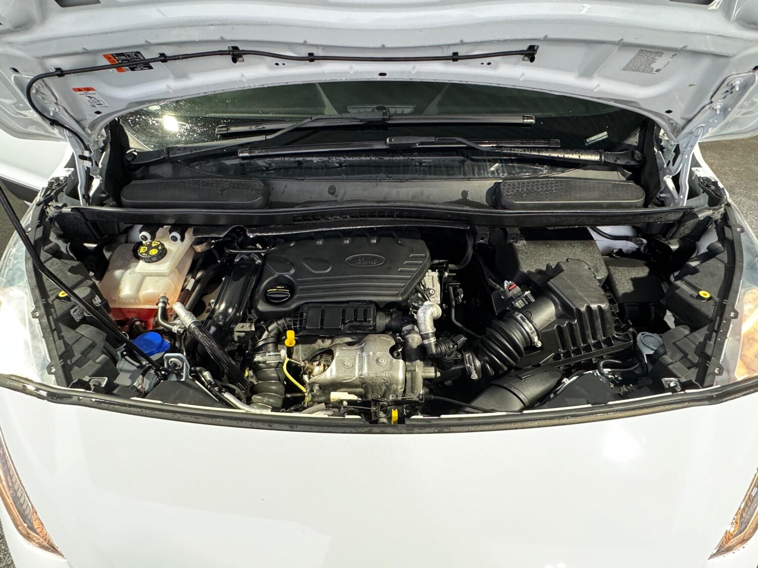 Used Ford Transit Connect for sale - 77344401: Photo 24