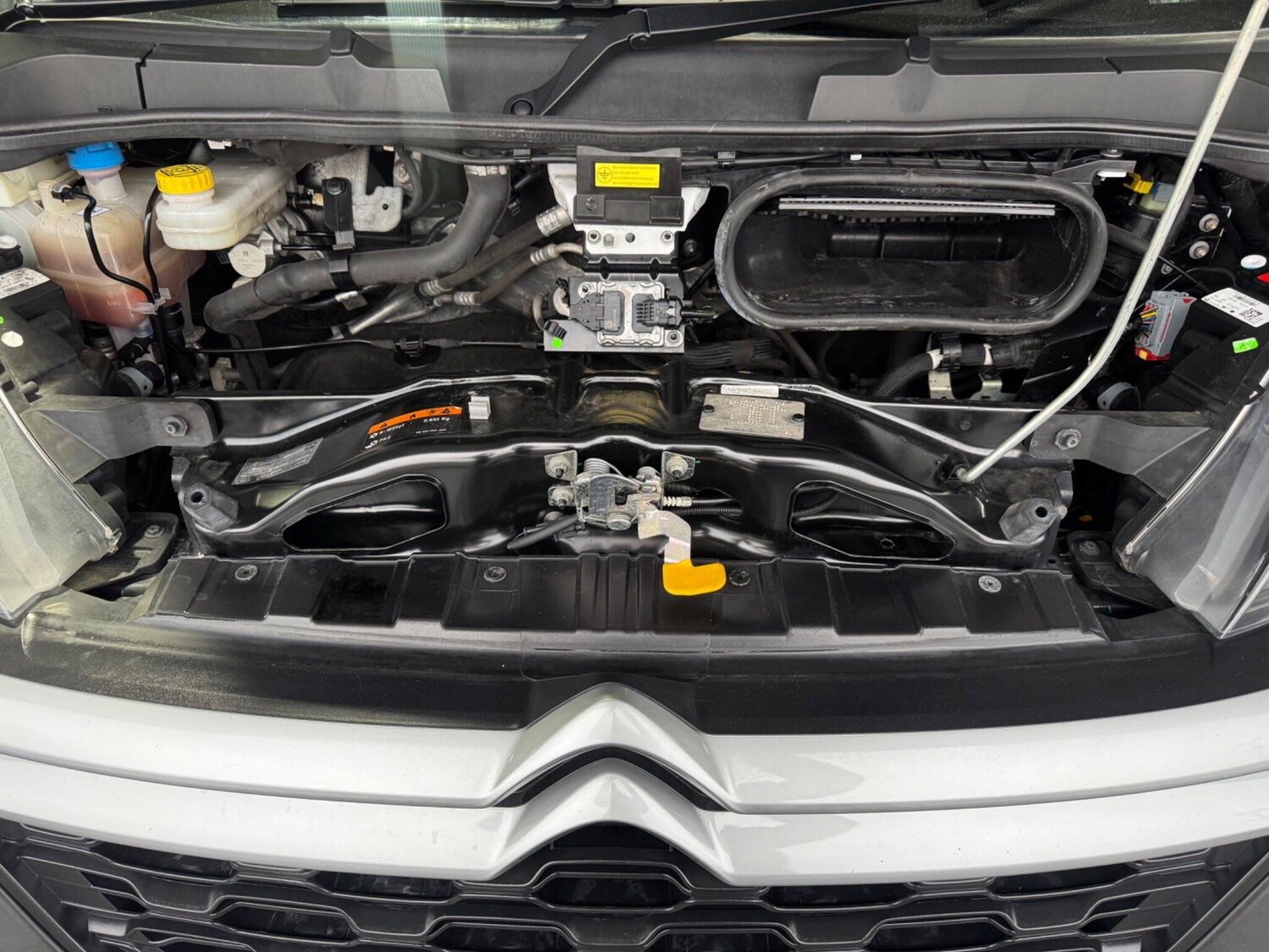 Used Citroen Relay 2023 for sale - 77993981: Photo 35