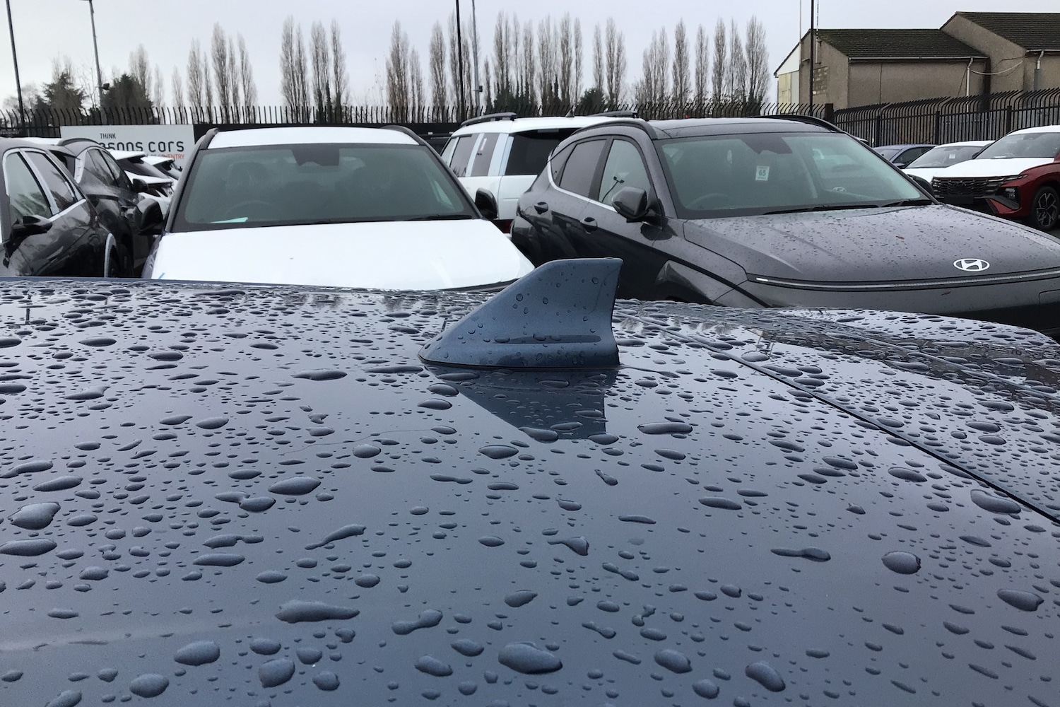 Used Ford Focus 2019 for sale - 77018294: Photo 16