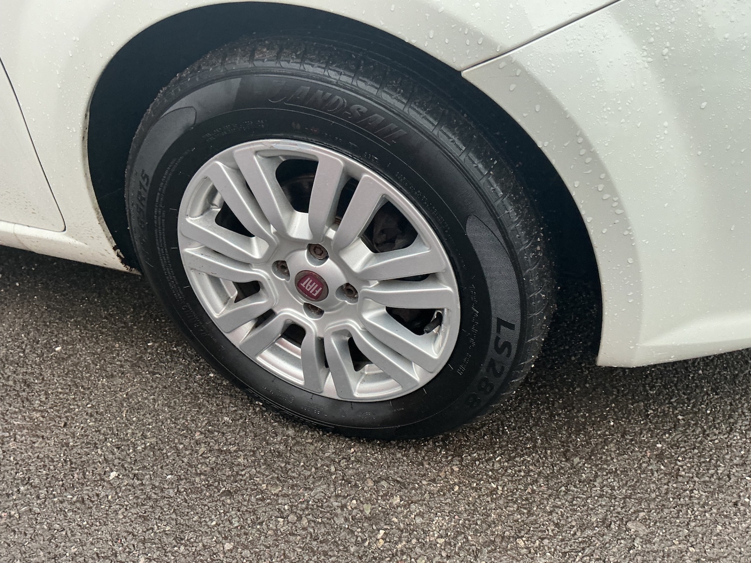 Used Fiat Punto 2014 for sale - 77565781: Photo 11