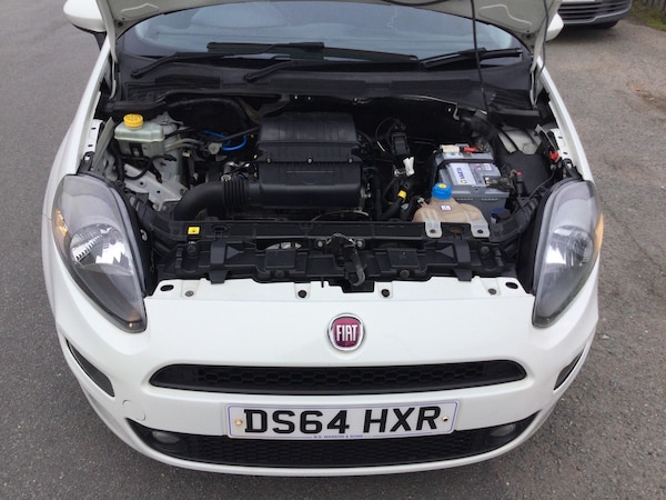 Used Fiat Punto 2014 for sale - 76209164: Photo 11