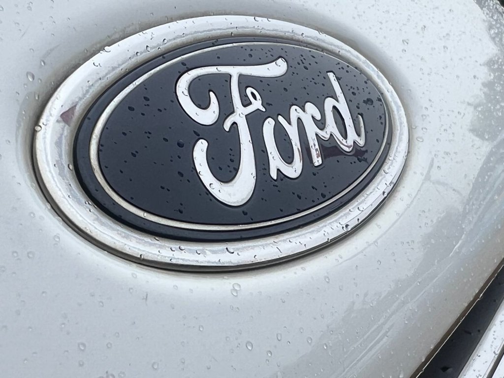 Used Ford Fiesta 2015 for sale - 76406889: Photo 19