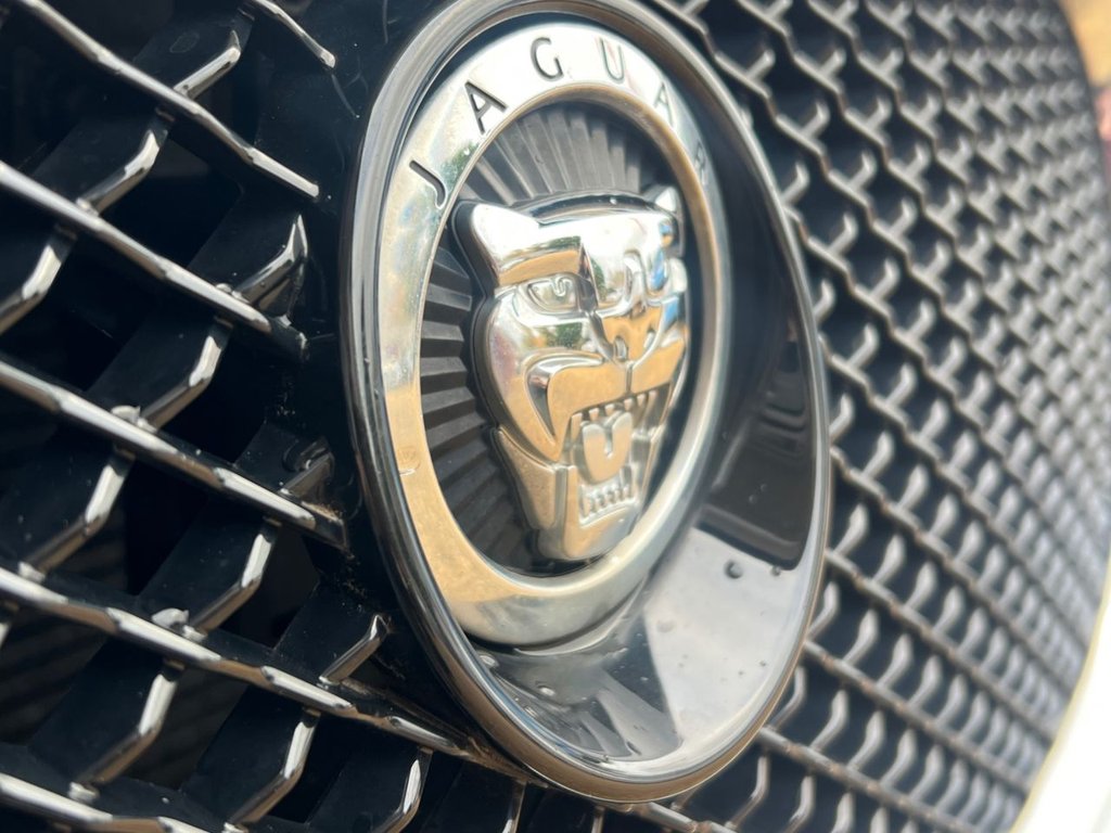 Used Jaguar XF 2013 for sale - 76367810: Photo 19