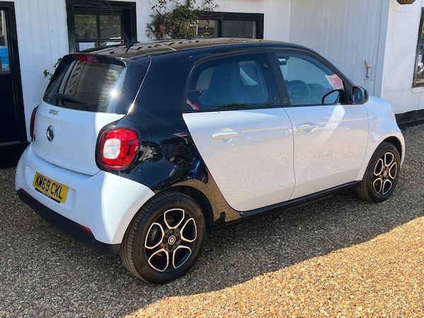 Used smart forfour 2019 for sale - 75411525: Photo 6