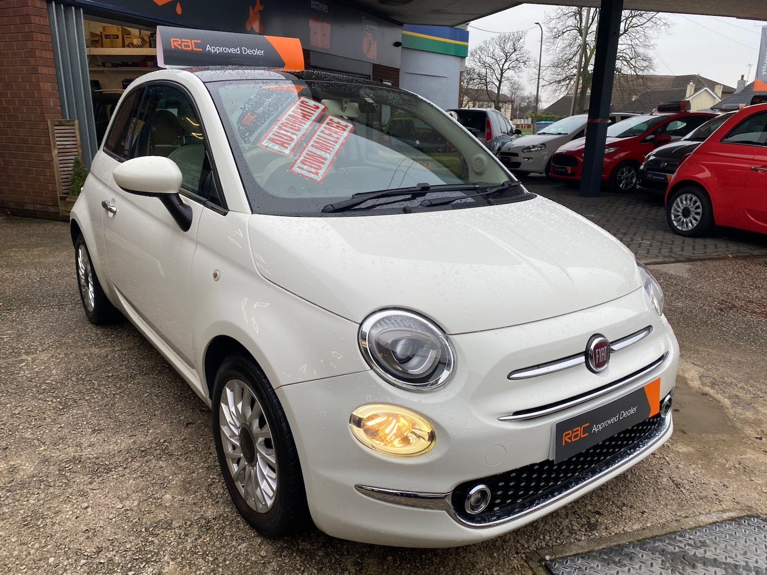 Used Fiat 500 2016 for sale - 77023732: Photo 4