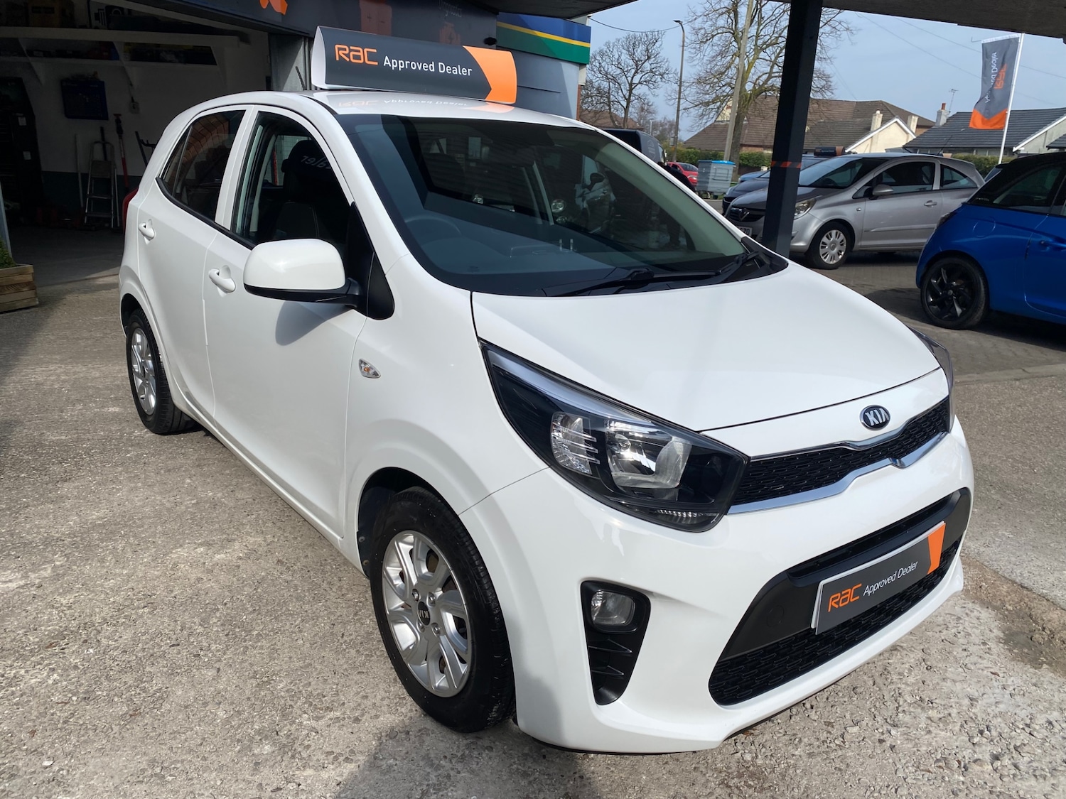 Used Kia Picanto 2019 for sale - 77968948: Photo 4