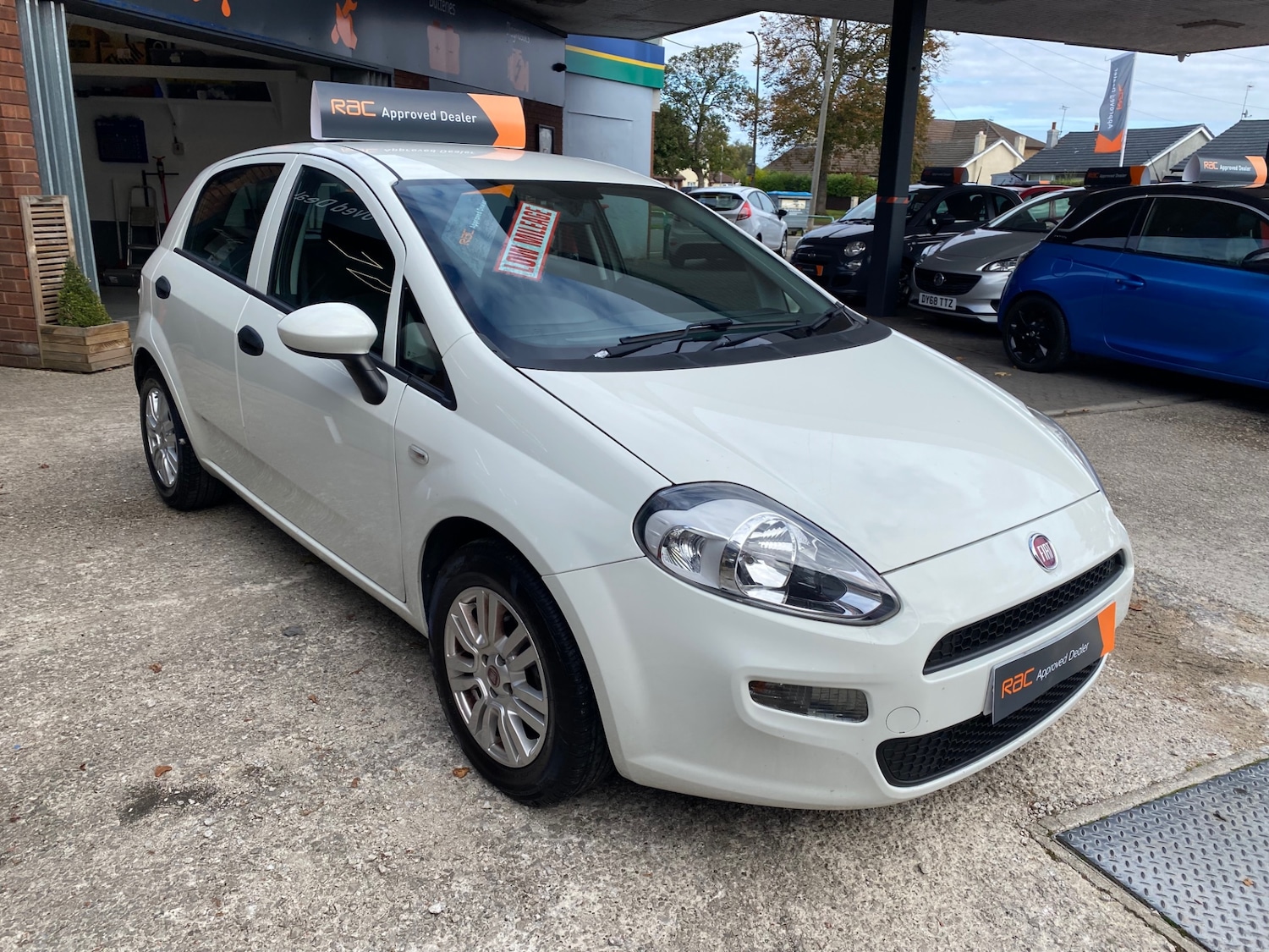 Used Fiat Punto 2015 for sale - 76142660: Photo 4