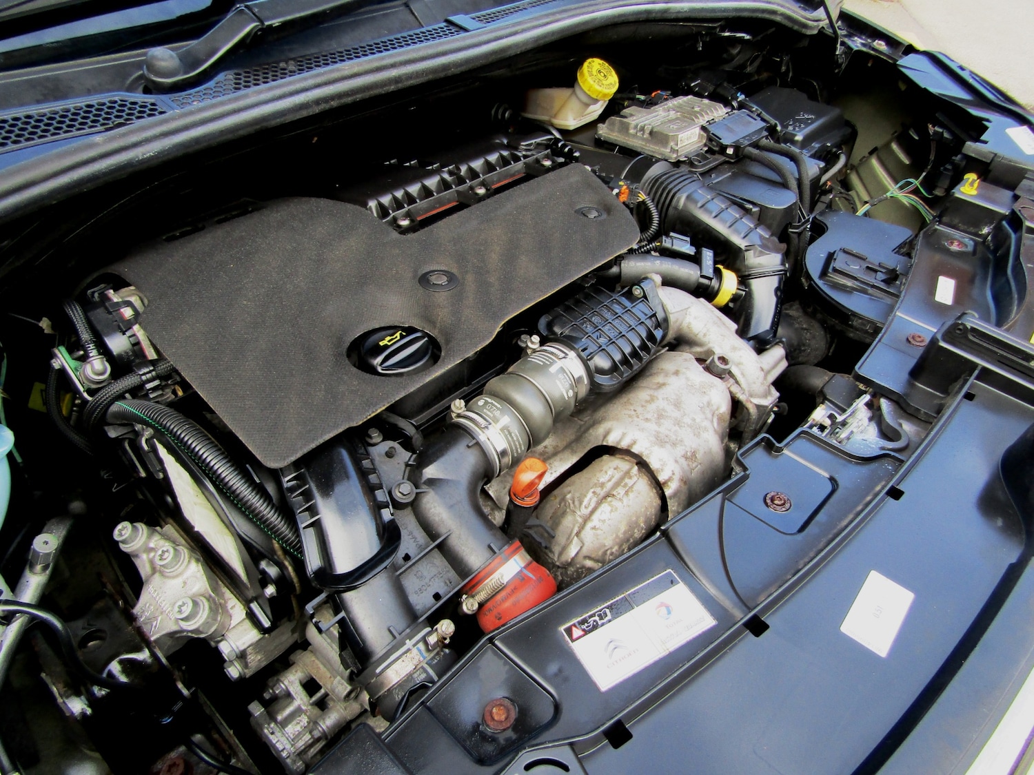 Used Citroen C3 2024 for sale - 77533604: Photo 11