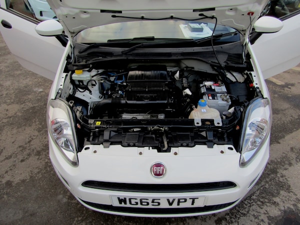Used Fiat Punto 2015 for sale - 73832755: Photo 11