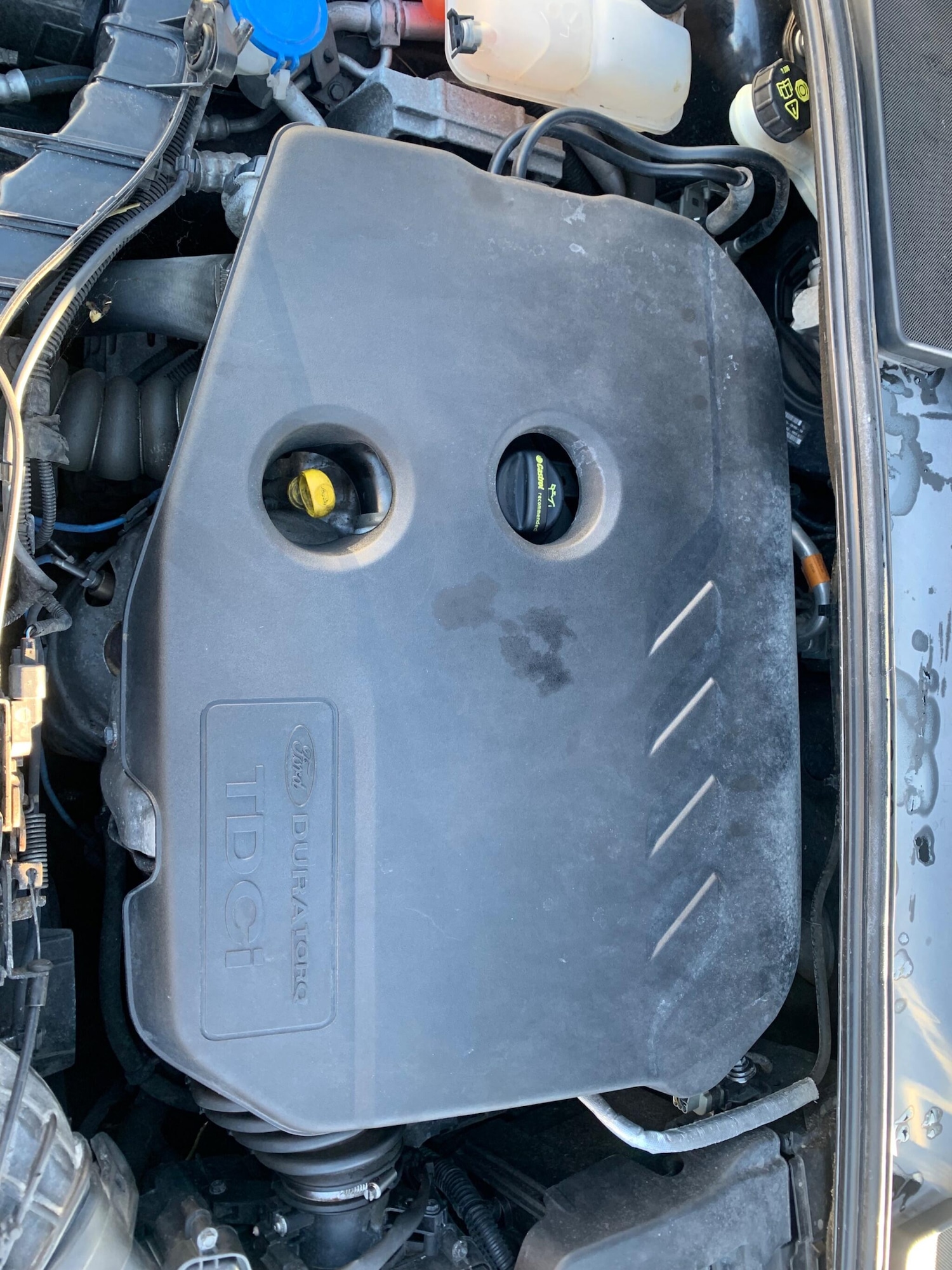 Used Ford Focus 2015 for sale - 76898383: Photo 52