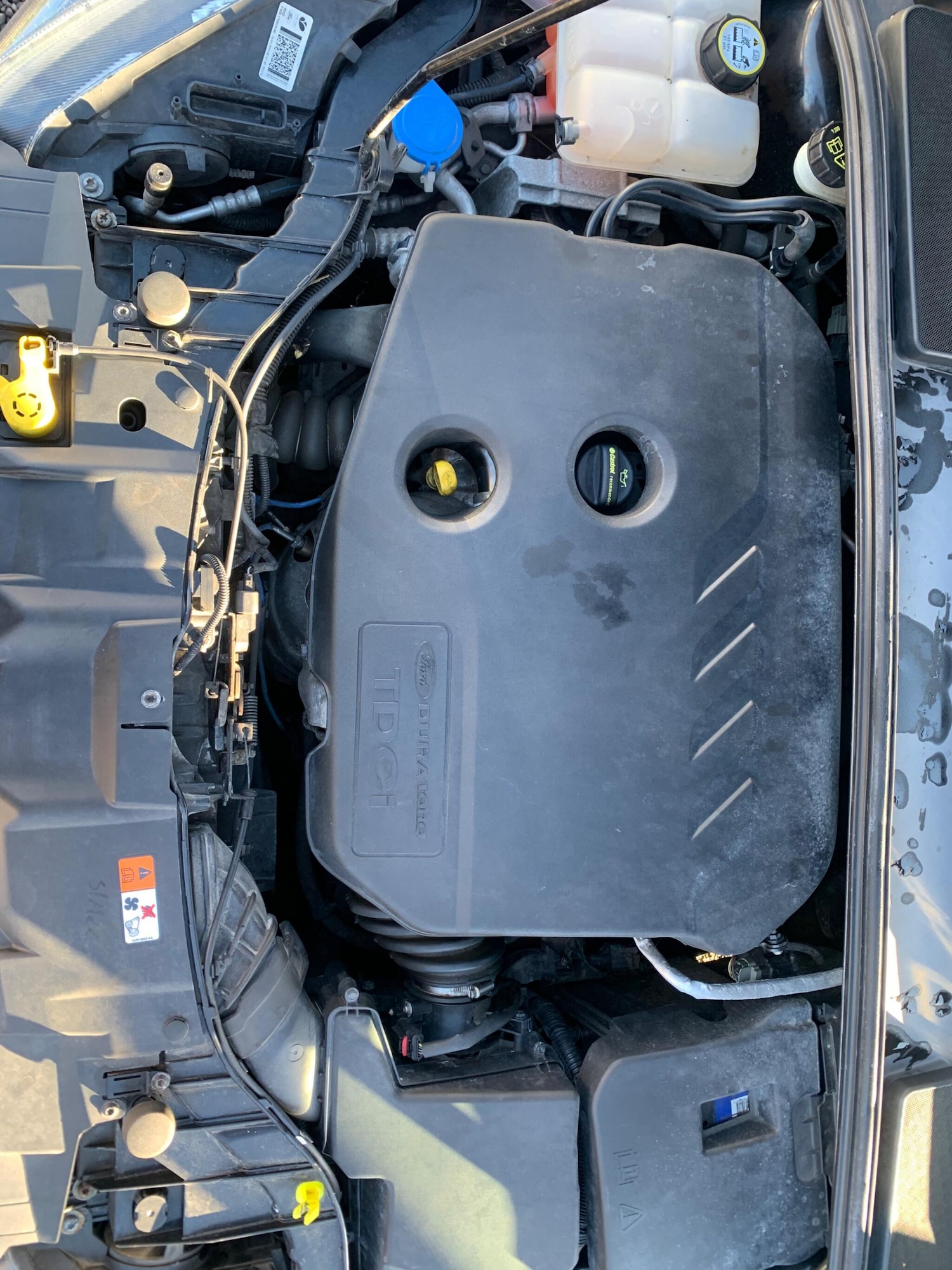 Used Ford Focus 2015 for sale - 76898383: Photo 53