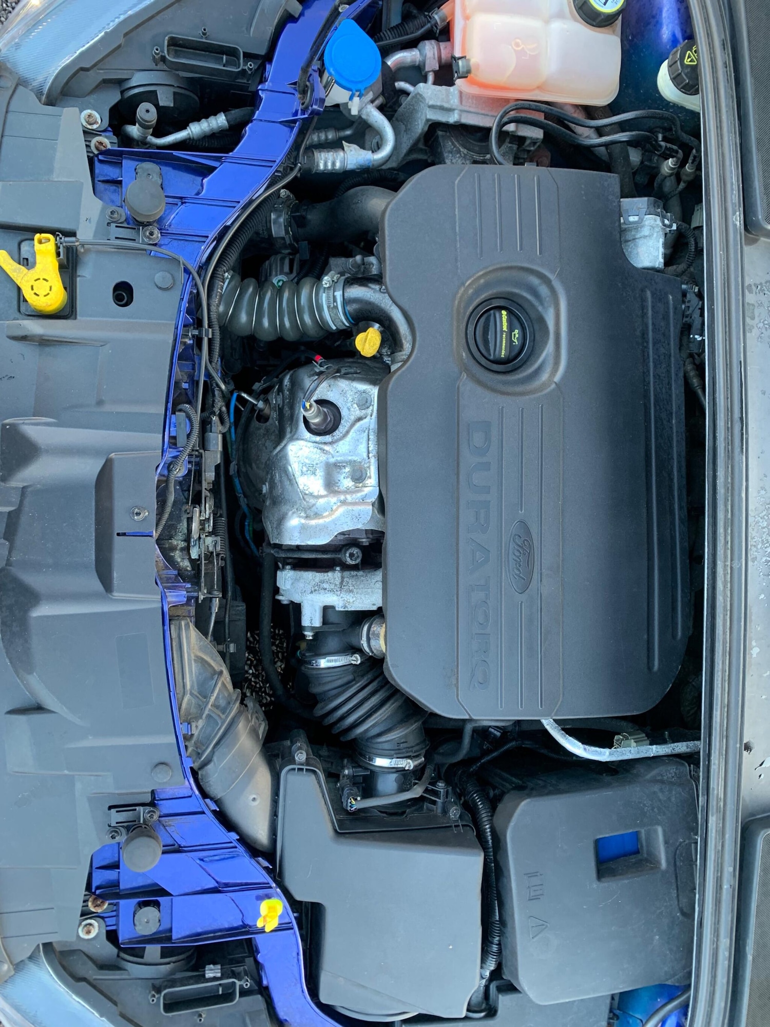 Used Ford Focus 2016 for sale - 77015713: Photo 52