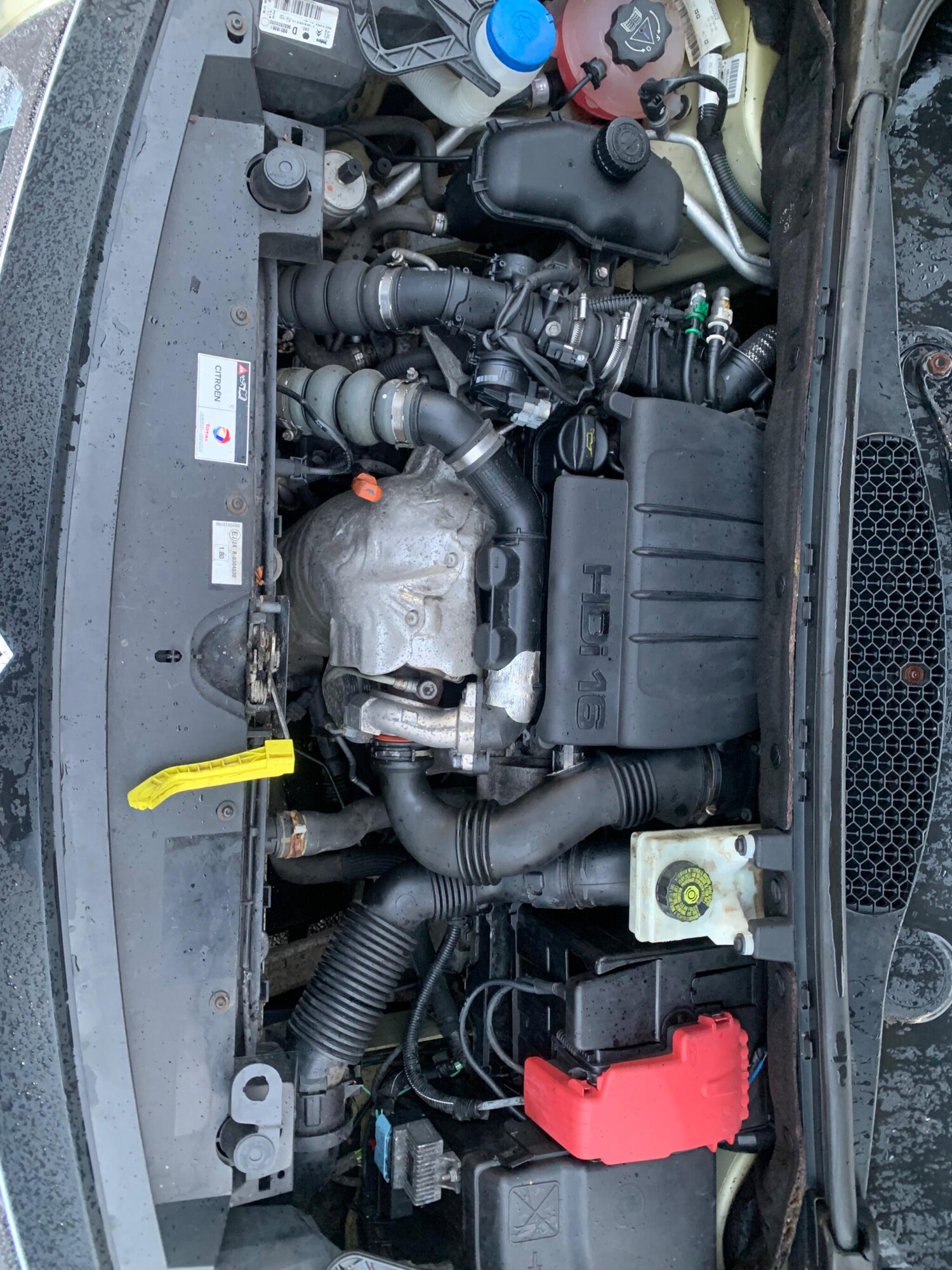 Used Citroen Berlingo for sale - 77549696: Photo 38