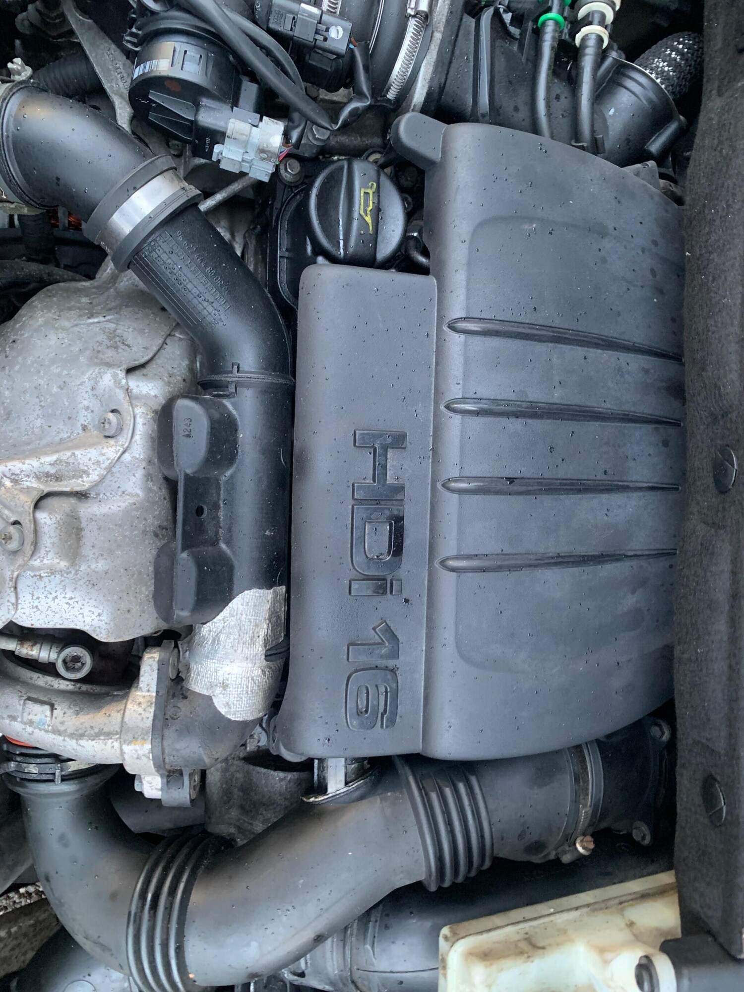 Used Citroen Berlingo for sale - 77549696: Photo 39