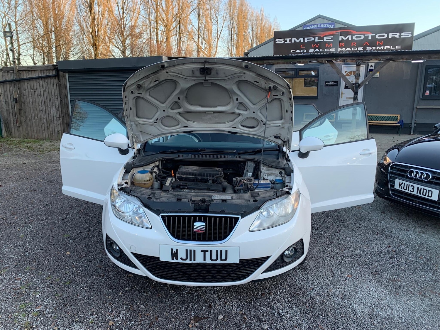 Used SEAT Ibiza 2011 for sale - 77082132: Photo 48