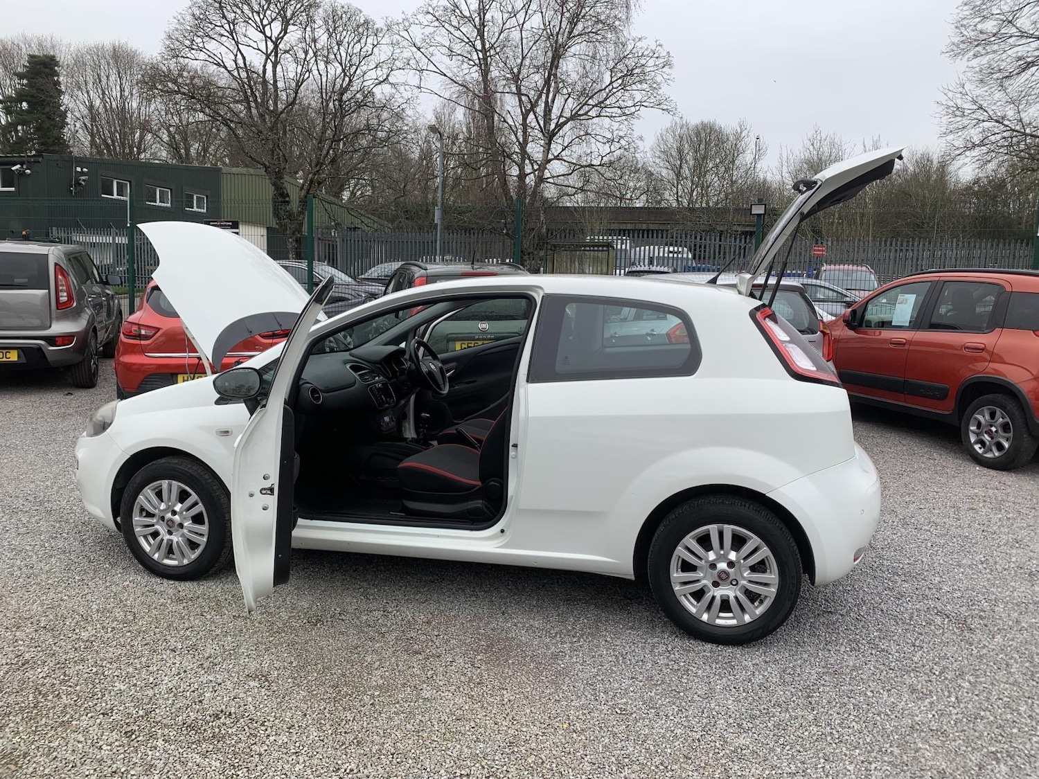 Used Fiat Punto 2012 for sale - 77732769: Photo 48