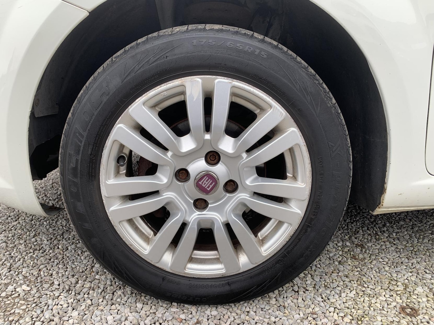 Used Fiat Punto 2012 for sale - 77732769: Photo 61