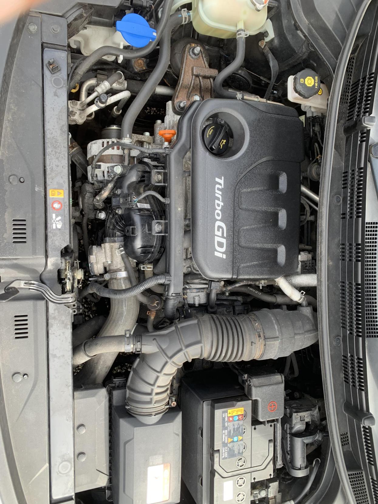 Used Kia Rio 2019 for sale - 77822701: Photo 43