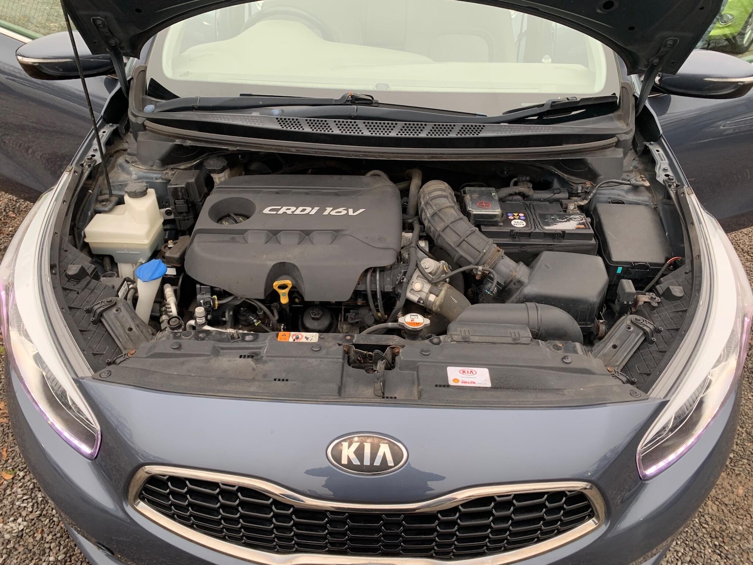 Used Kia Ceed 2013 for sale - 76714179: Photo 59