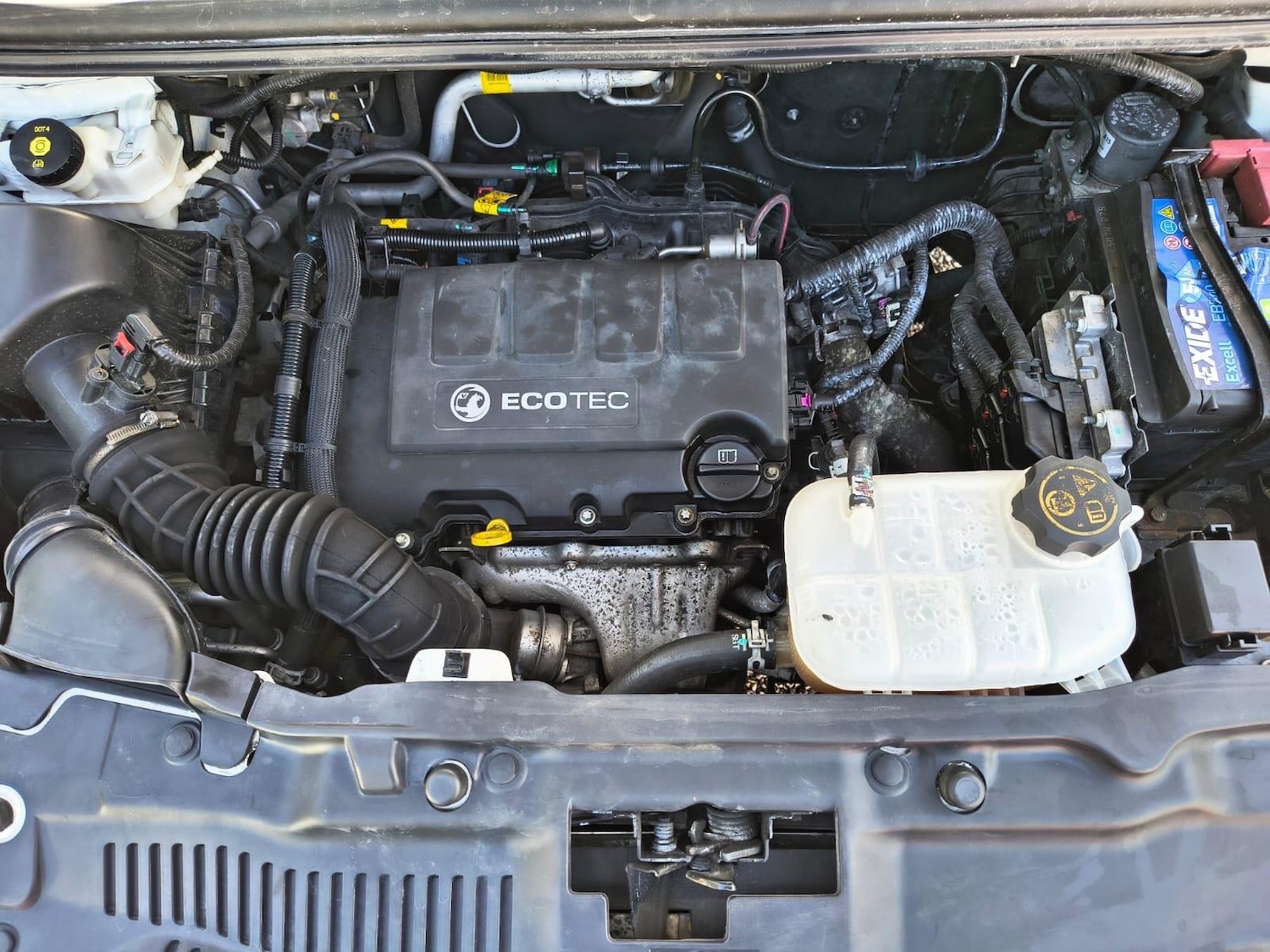 Vehicle 31