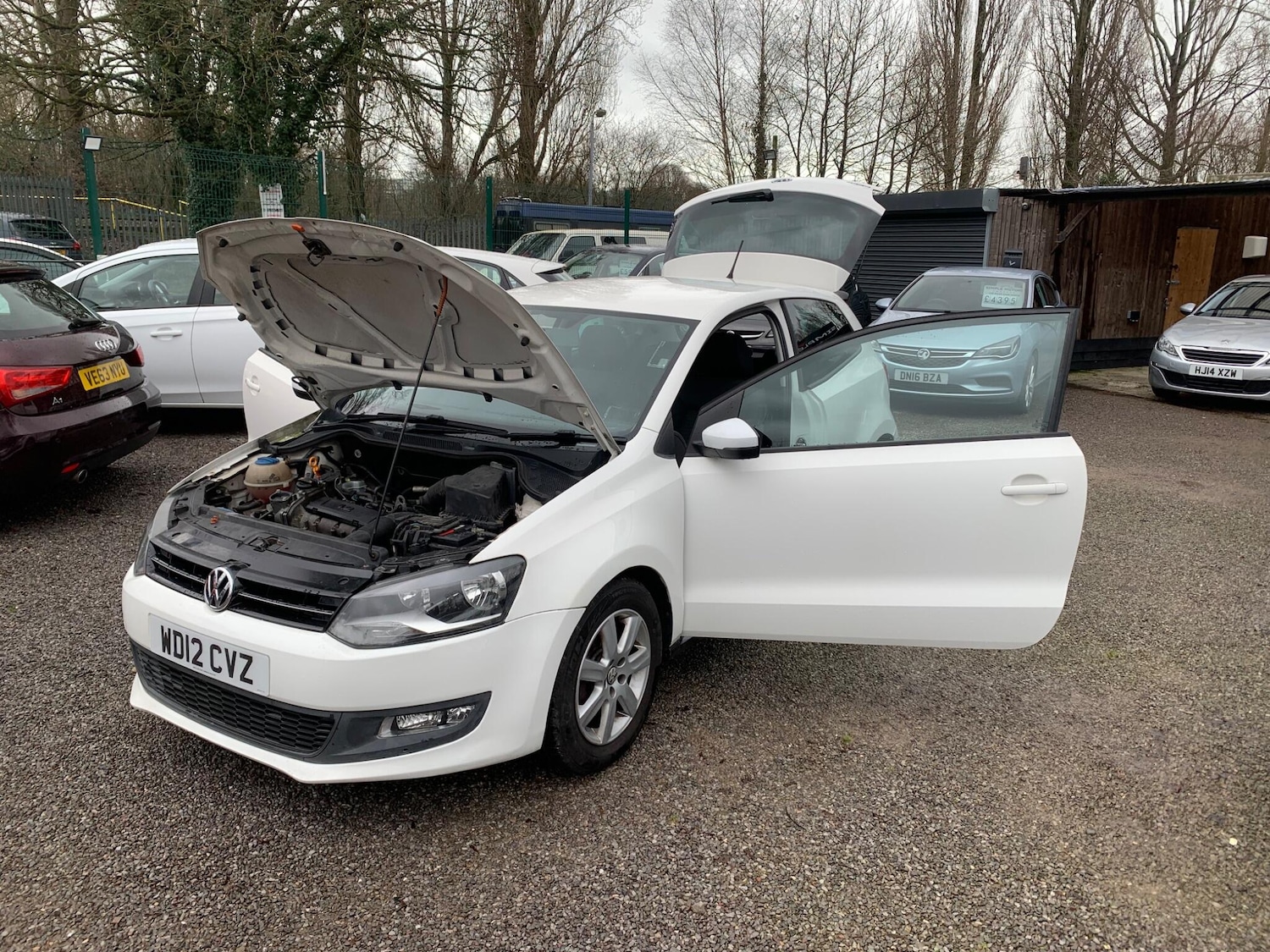 Used Volkswagen Polo for sale - 77496472: Photo 48