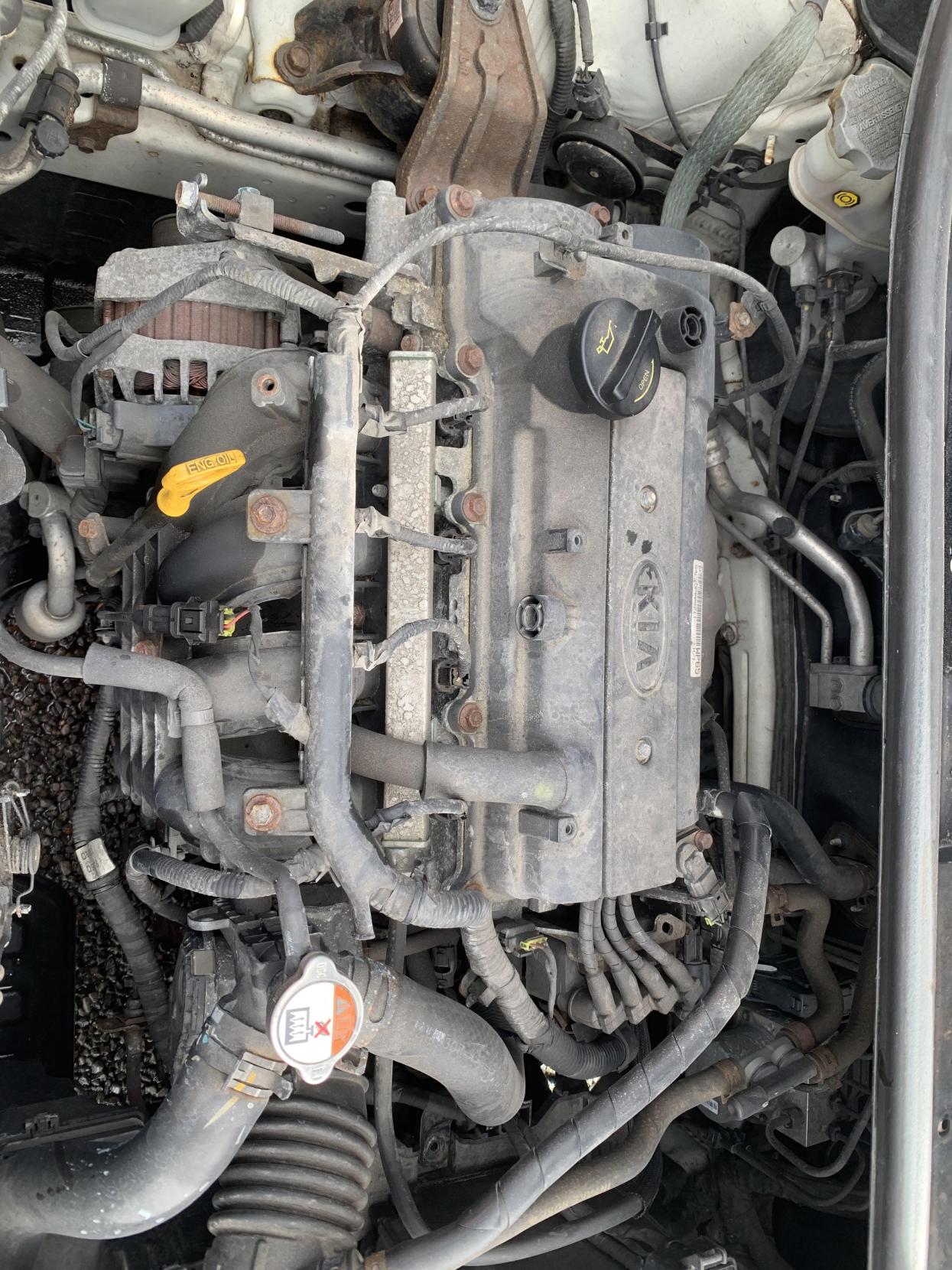 Used Kia Rio 2013 for sale - 77709202: Photo 43