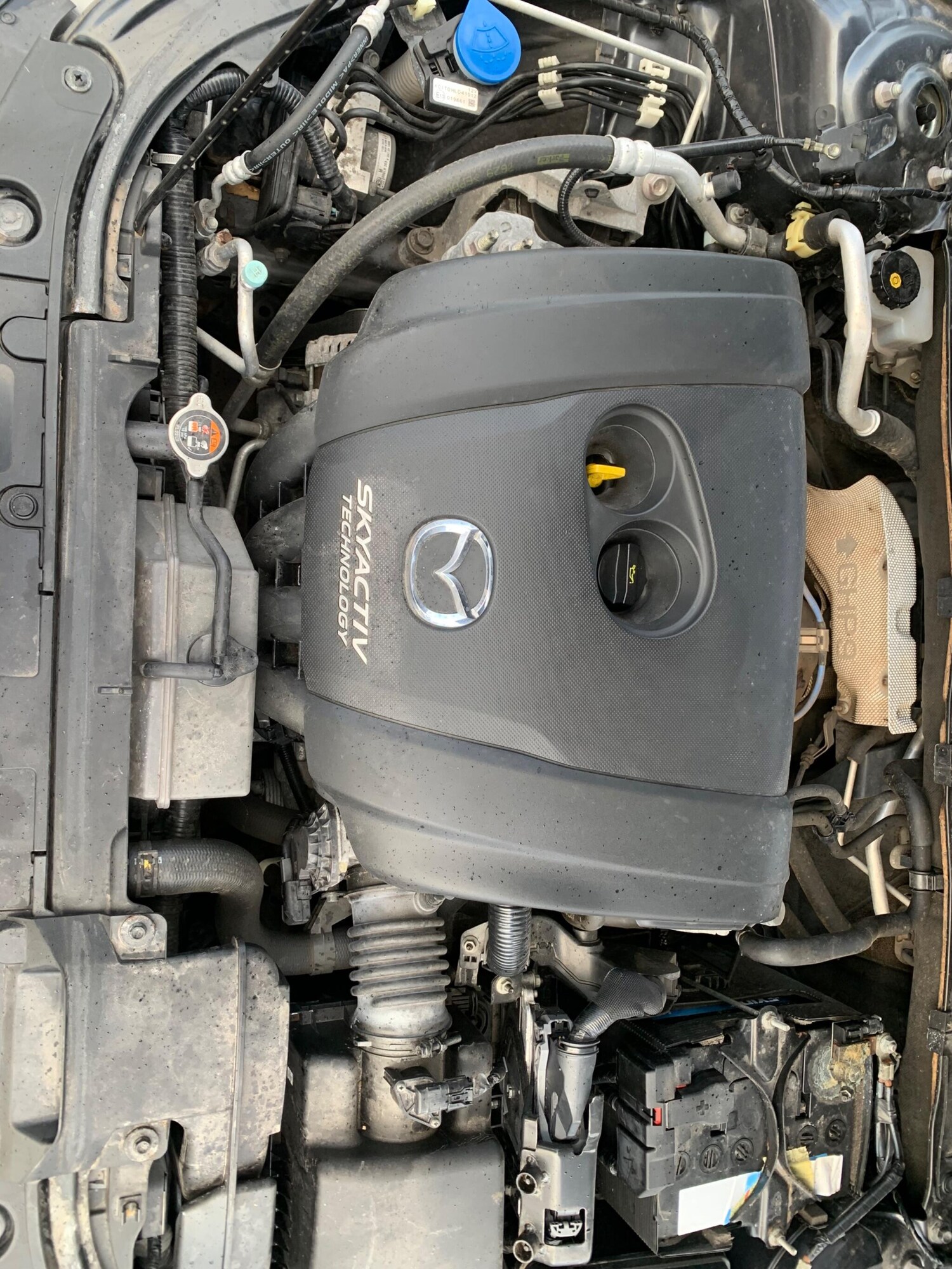 Used Mazda Mazda3 2014 for sale - 76849790: Photo 51