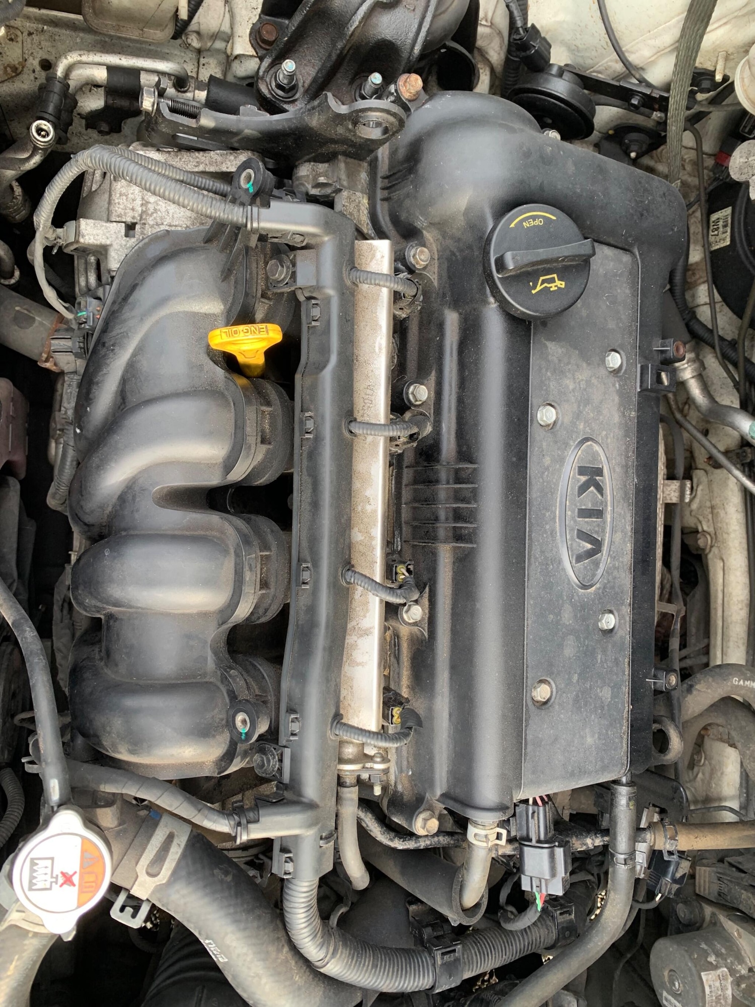 Used Kia Rio 2015 for sale - 77523663: Photo 41