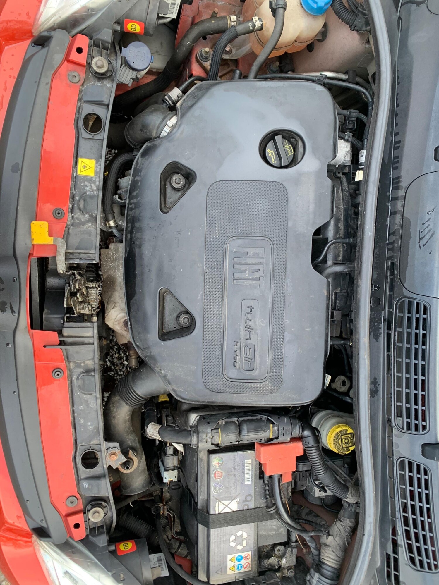 Used Fiat Panda for sale - 77537262: Photo 46