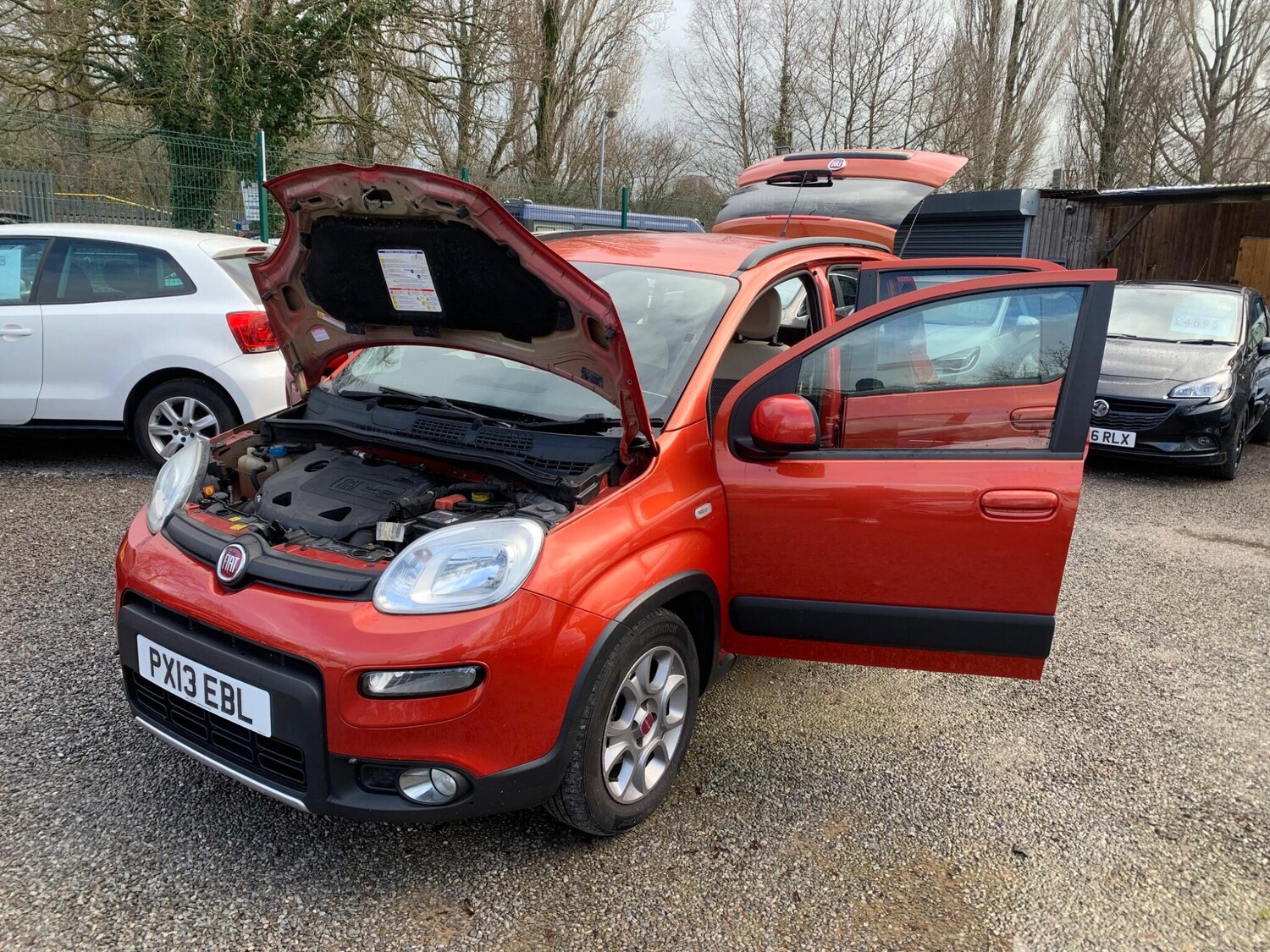 Used Fiat Panda for sale - 77537262: Photo 55