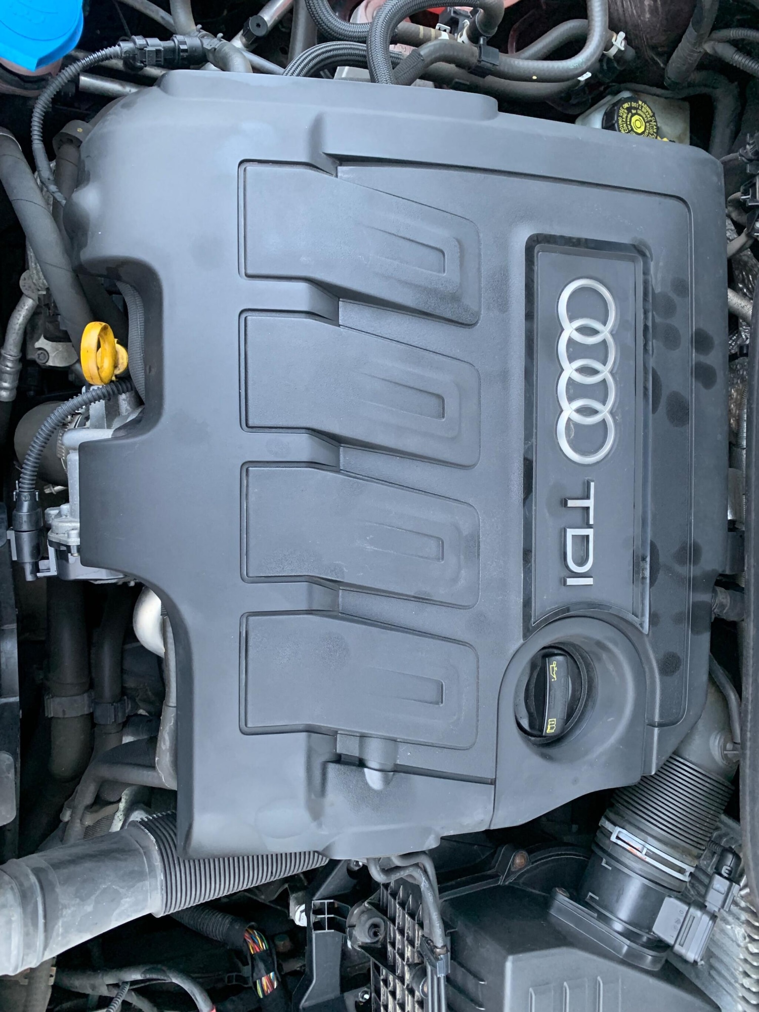 Used Audi A1 for sale - 77291231: Photo 45